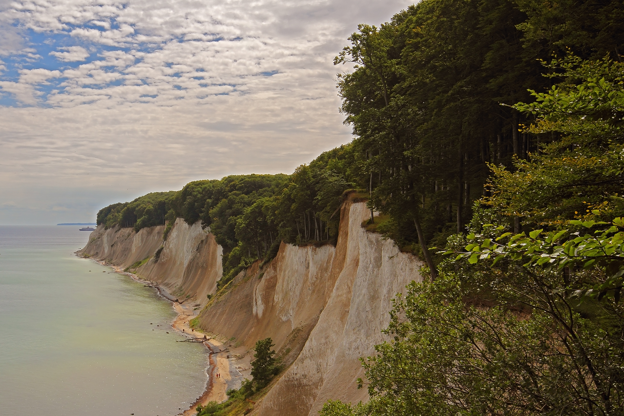 Jasmund Natural Parc