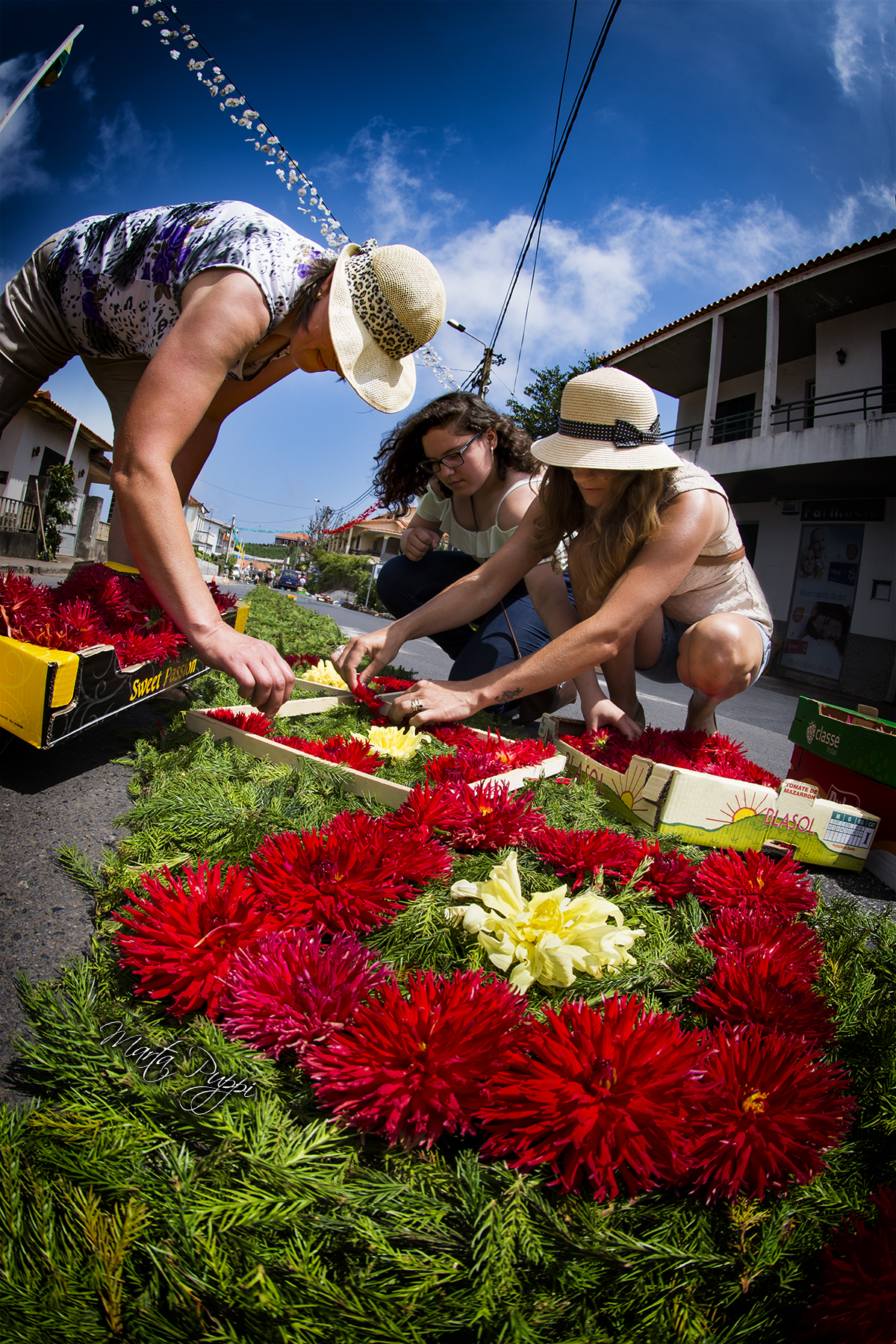 Generazioni e tradizioni