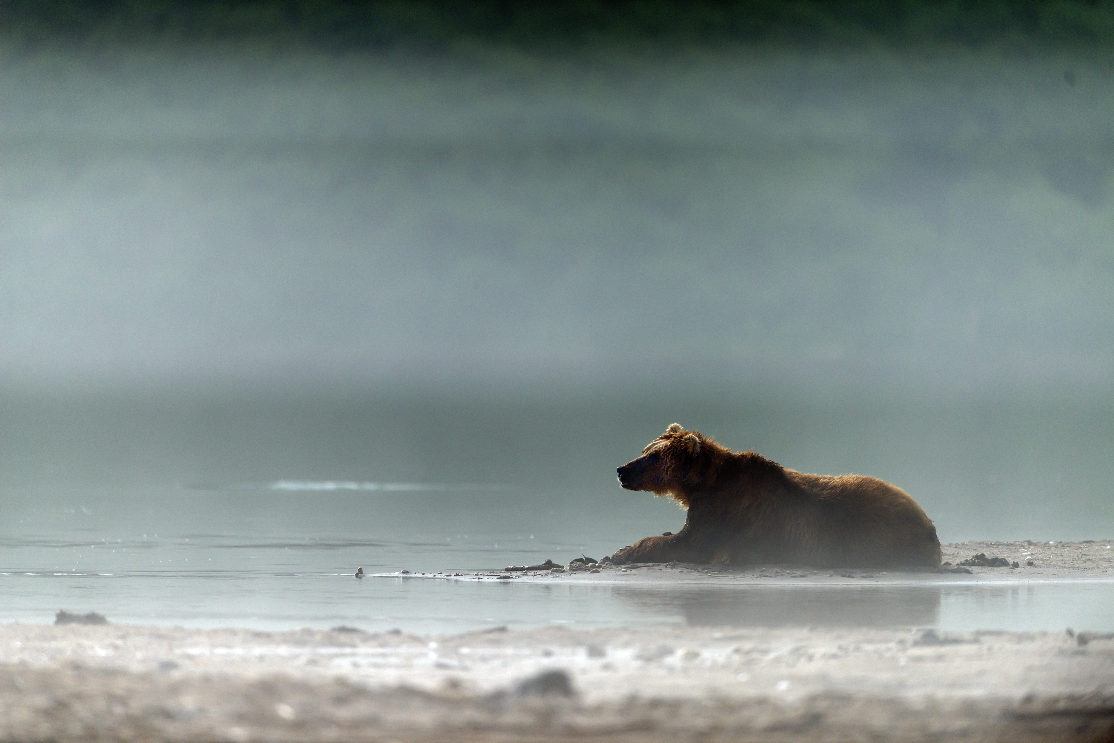 Kamchatka 2016 - Tra le nebbie del Kurile Lake