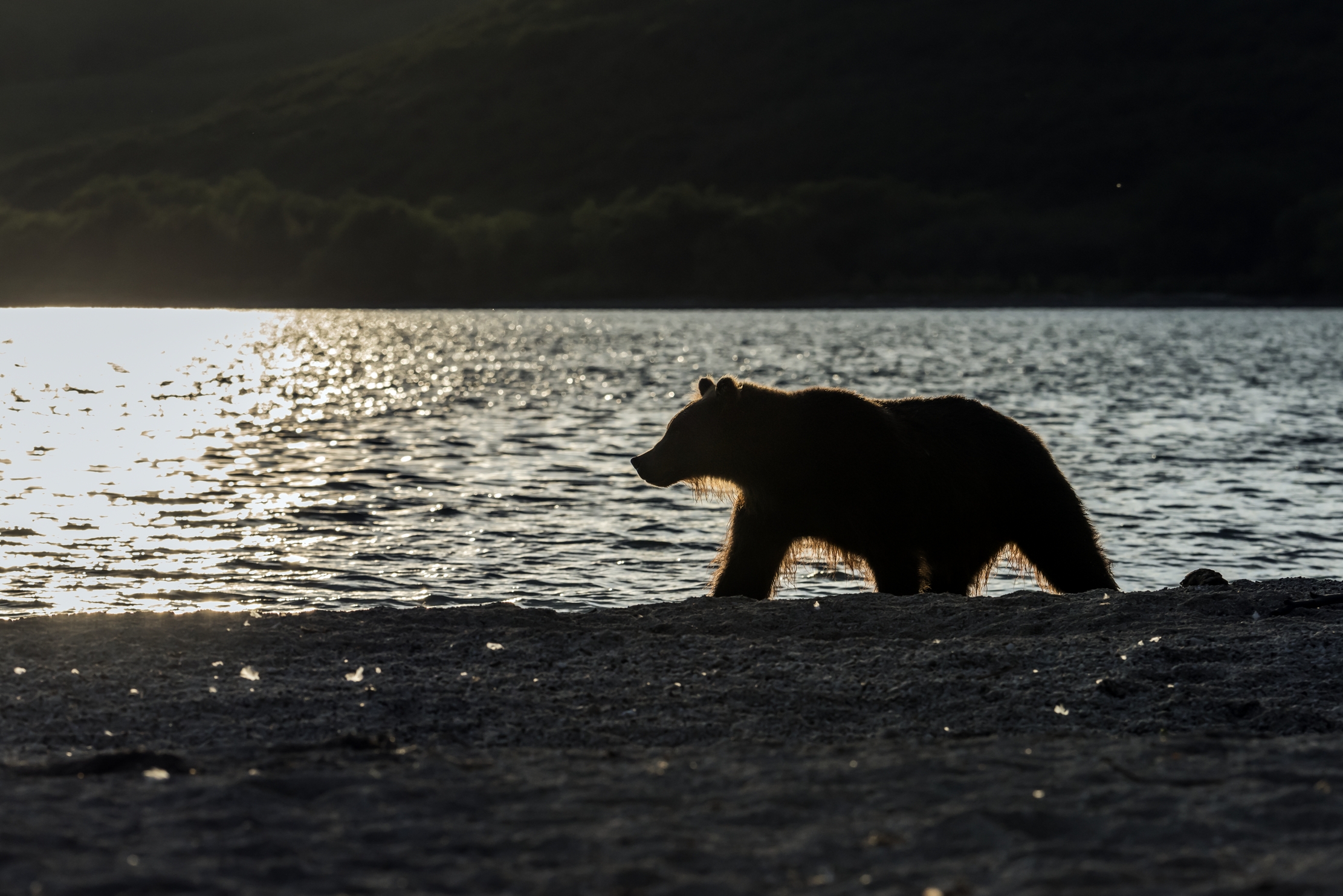 Kamchatka 2016 - Silhouette