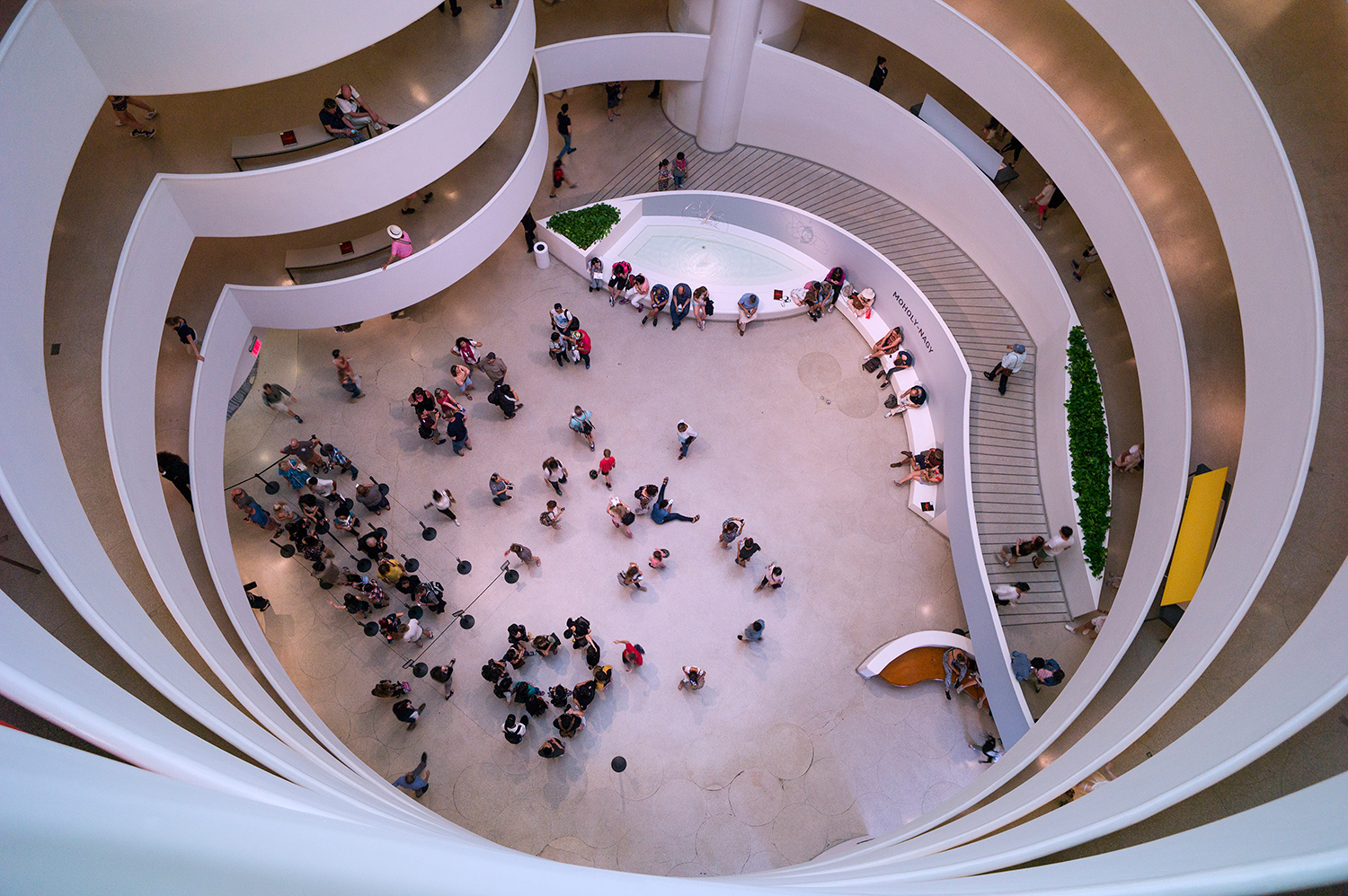 Guggenheim Museum