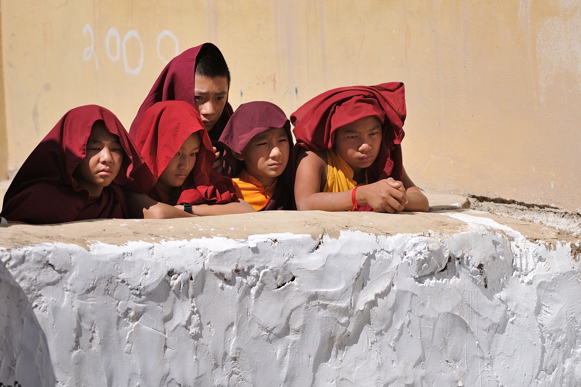 Ladakh festival Phyang (Gaon Tsedrup)
