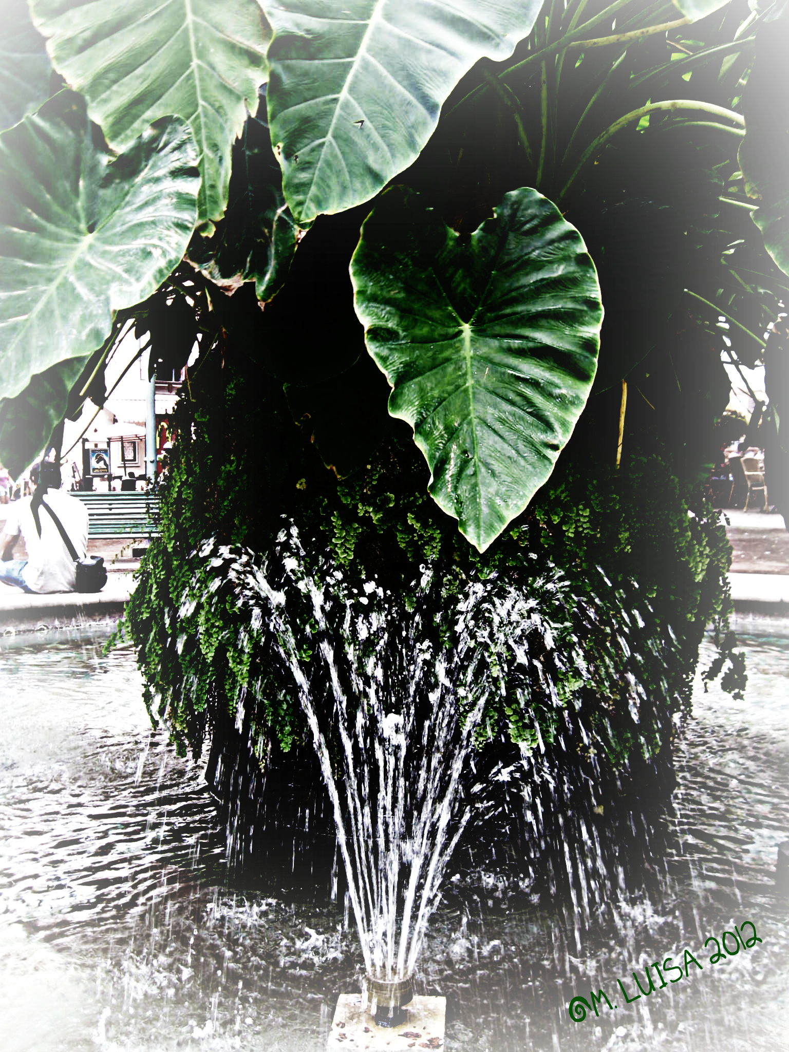 the fountain in the Plaza del Charco-Puero de la Cruz-Teneri...