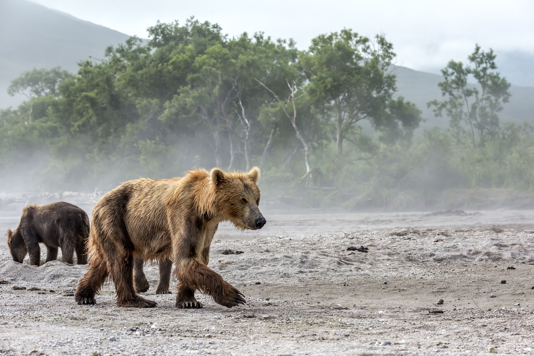 Kamchatka 2016 - Atmosfera mattutina