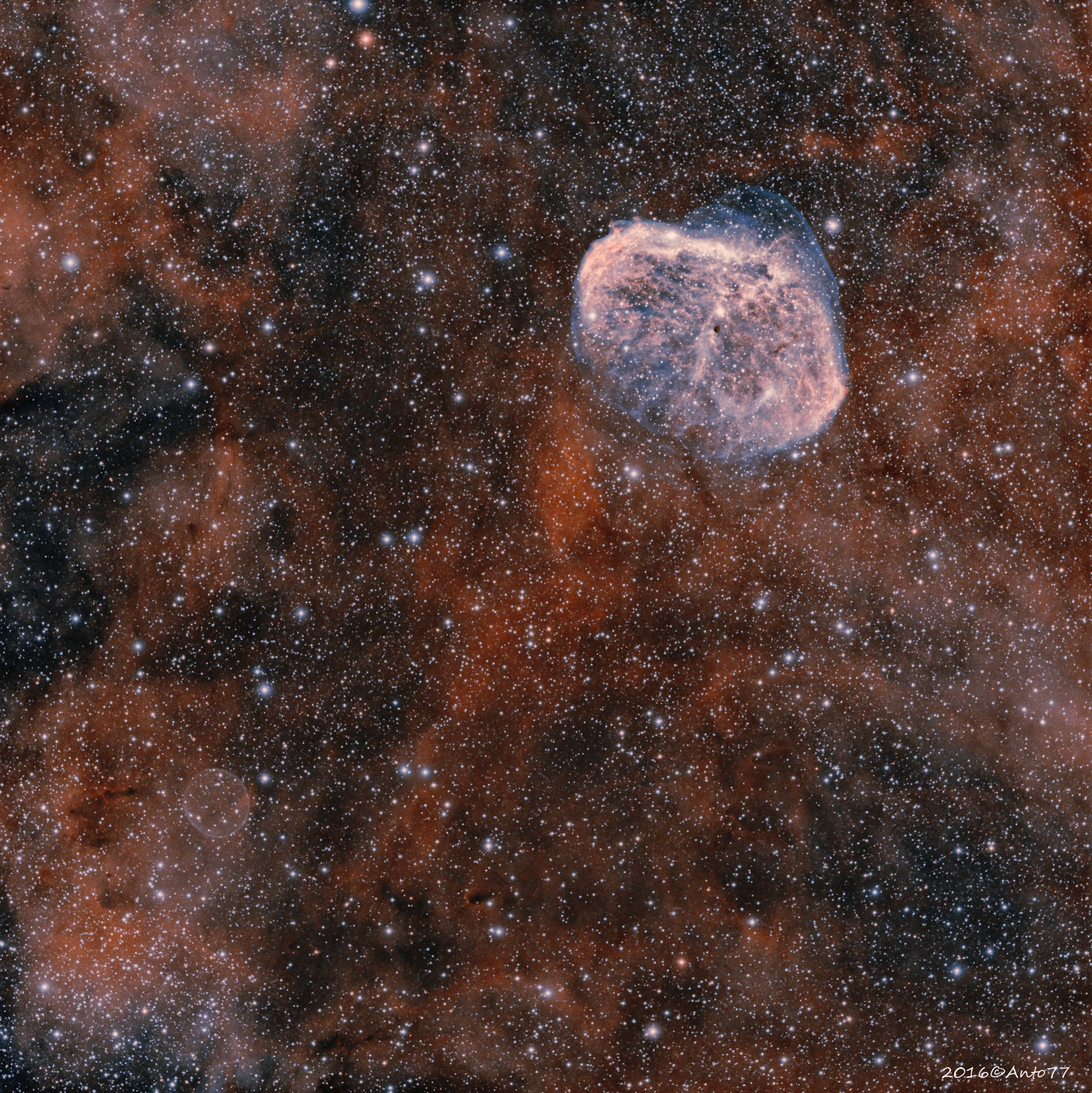 the soap bubble and the crescent bicolor