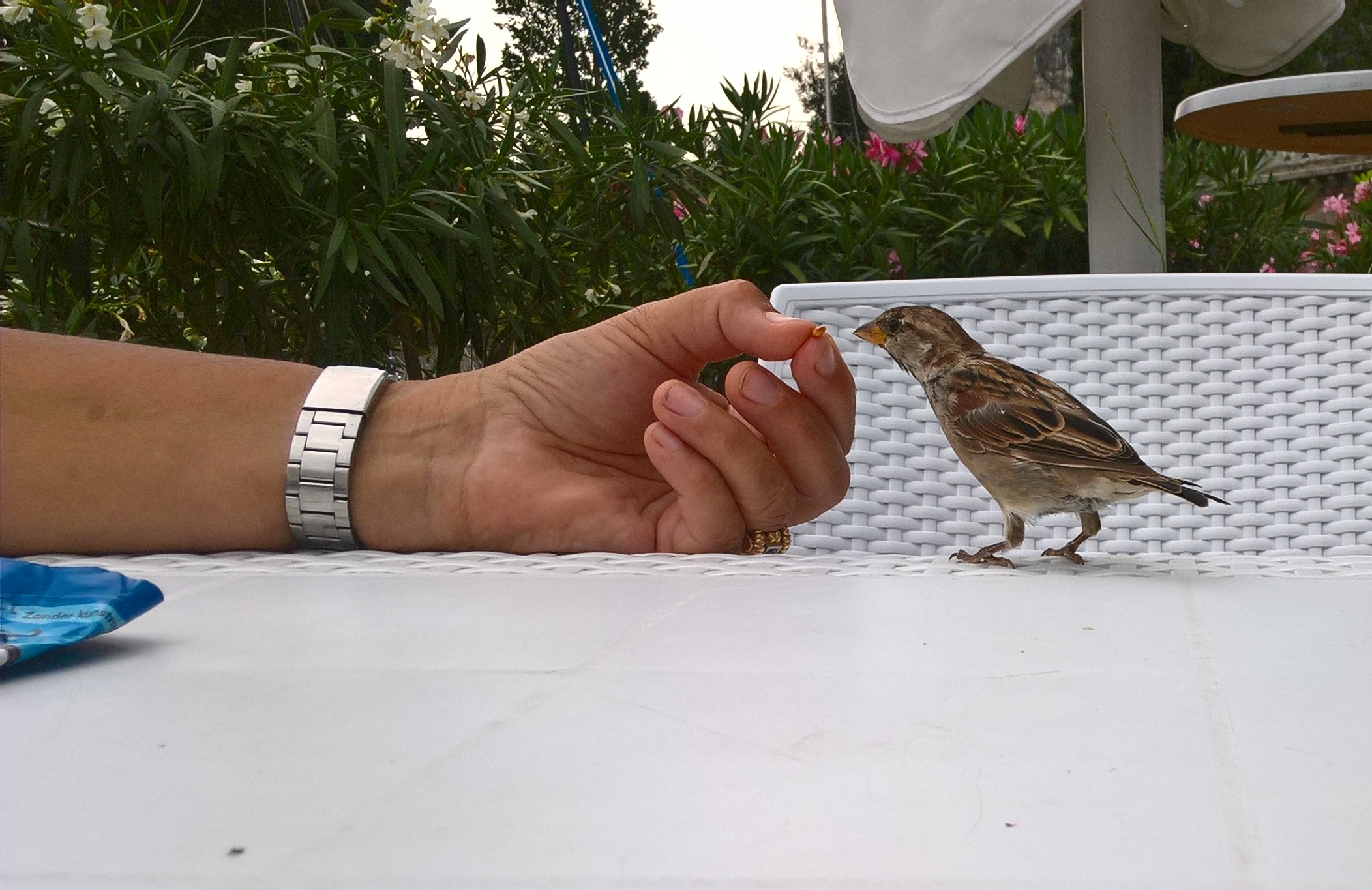 il fine giustifica i mezzi