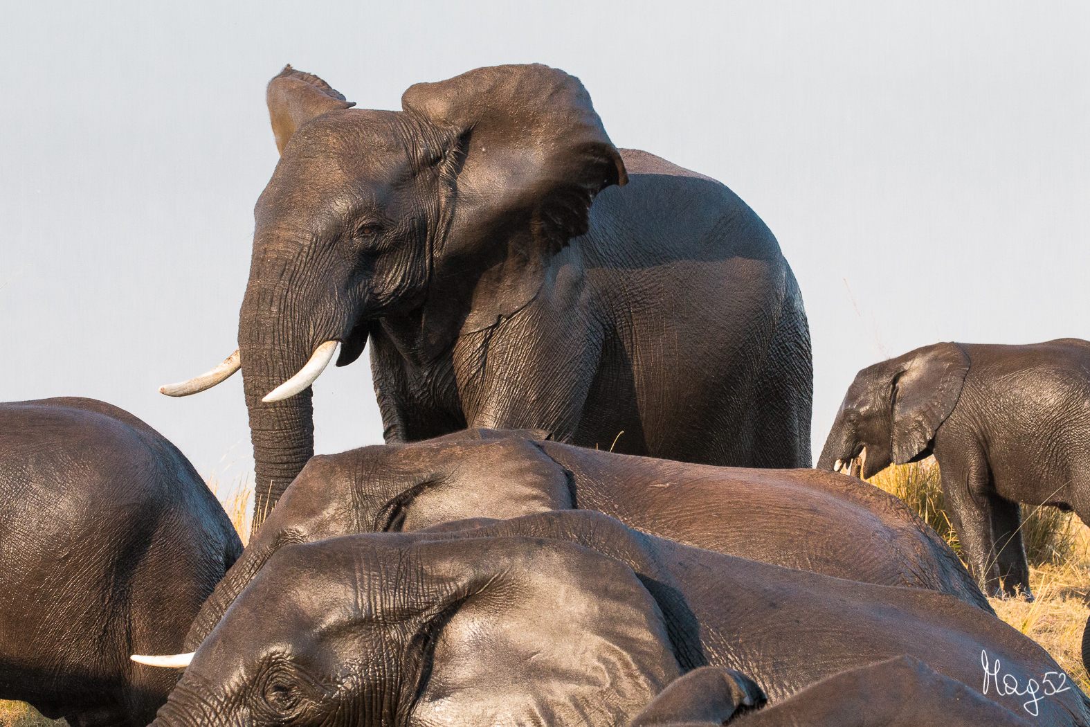 puliti si sta meglio
