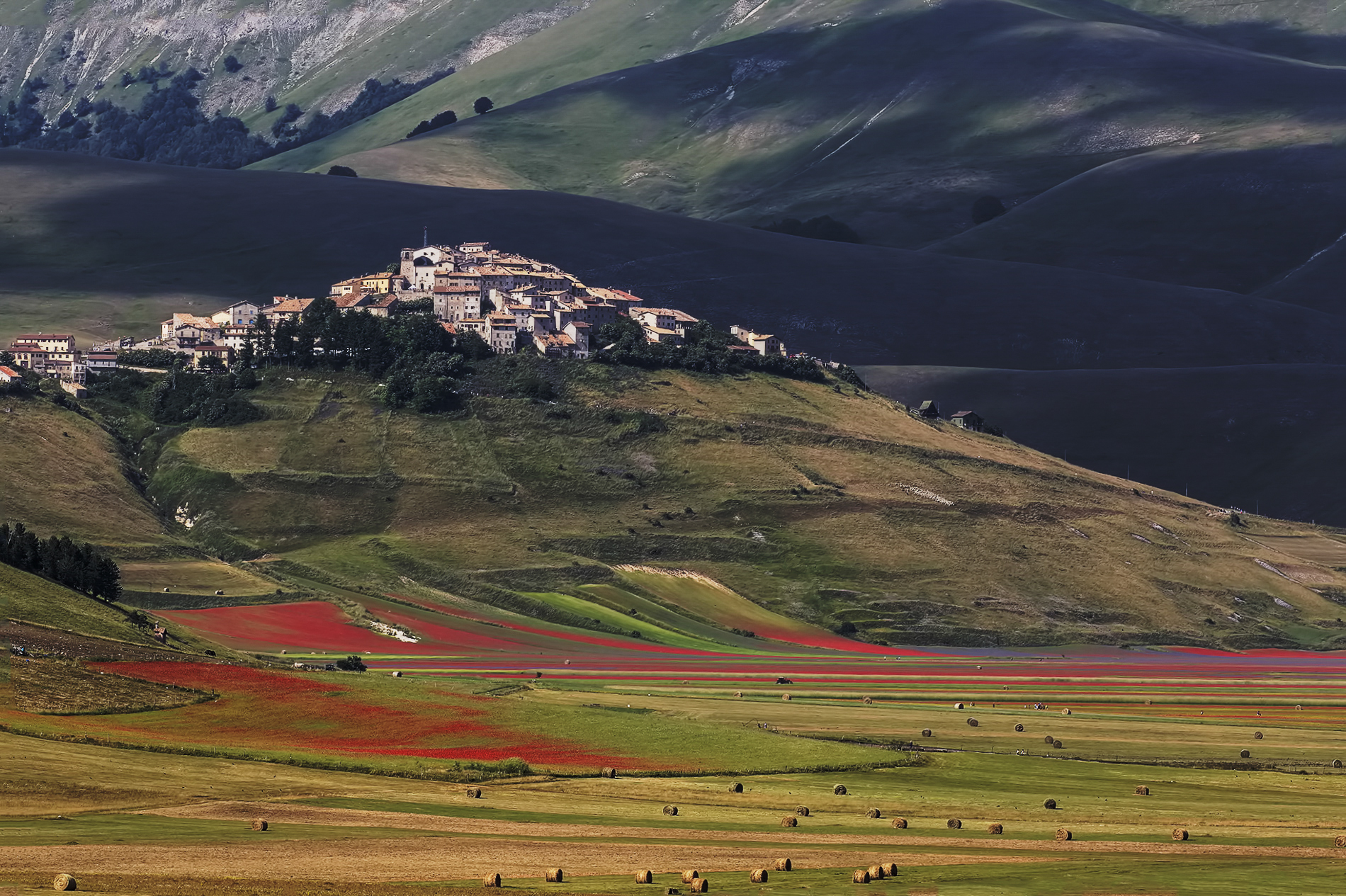 Castelluccio 2016