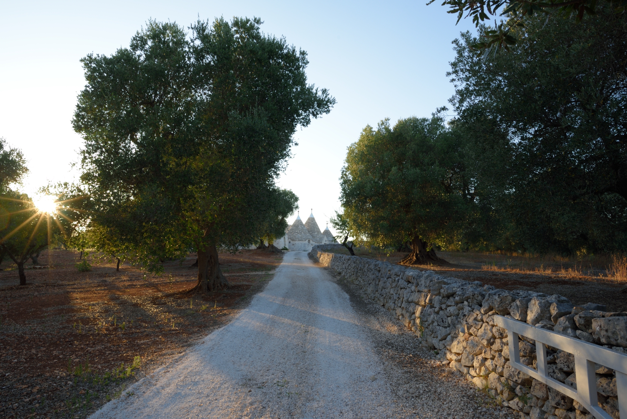 The last rays of sun