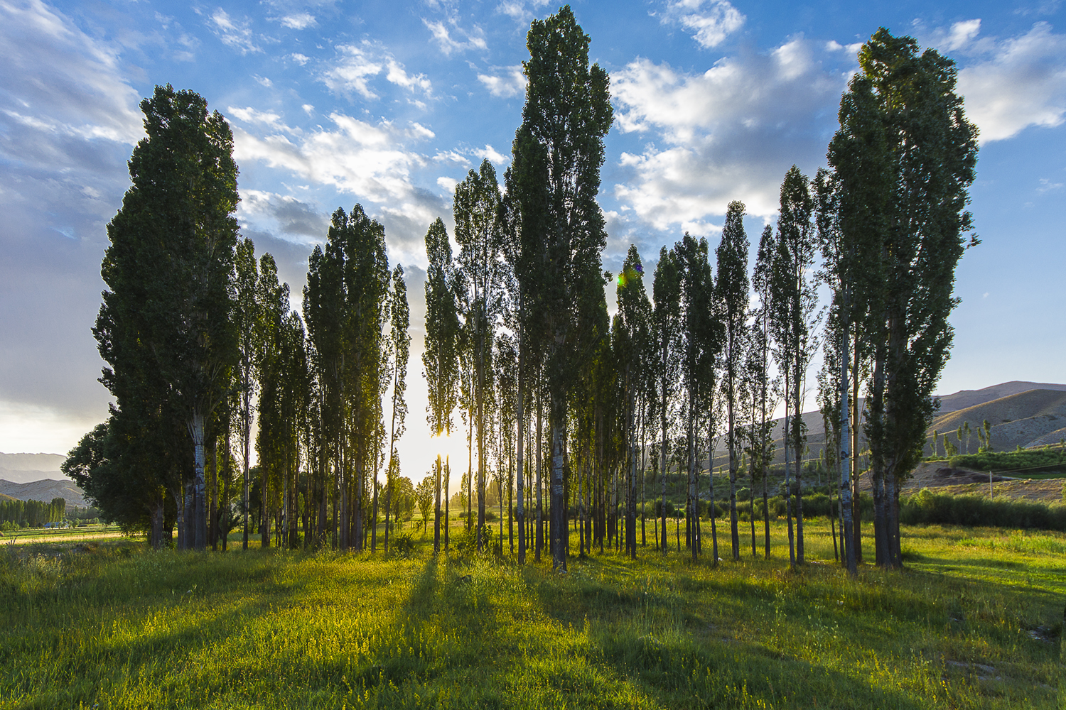 summer sunset and rays