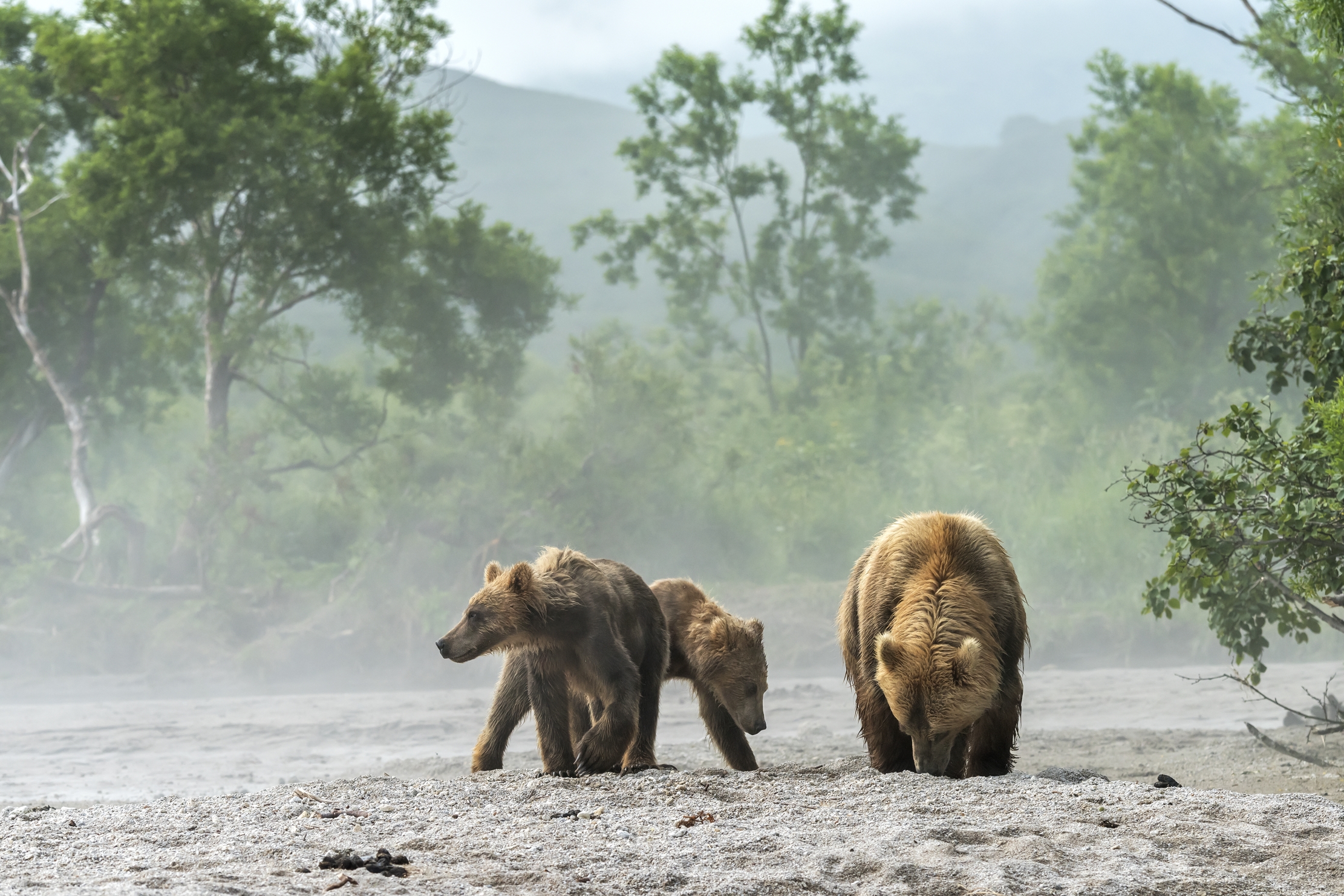 Kamchatka 2016 - Atmosfere mattutine