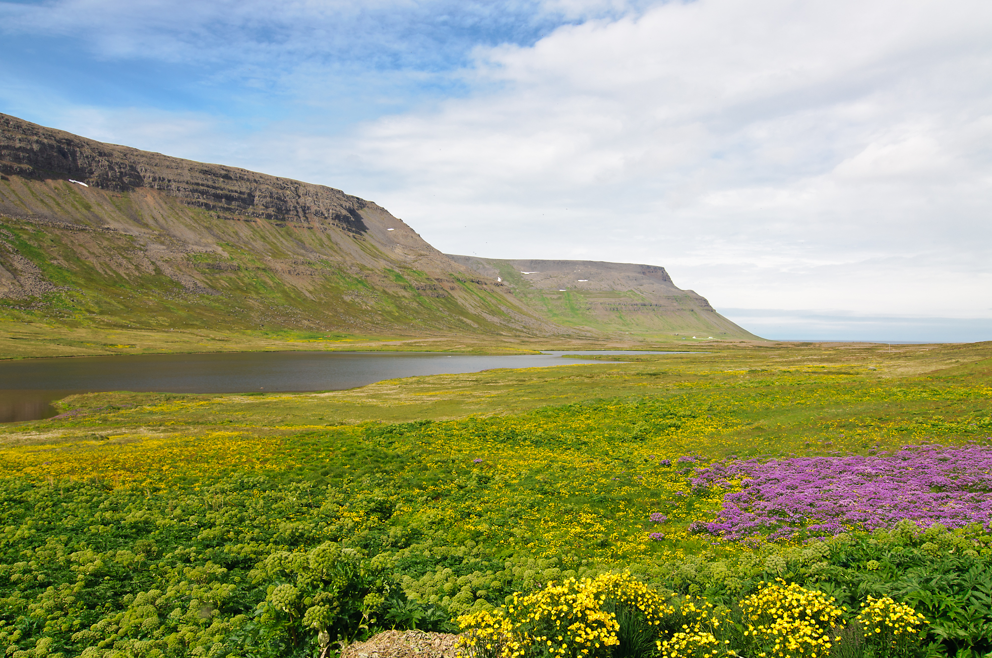 Westfjords