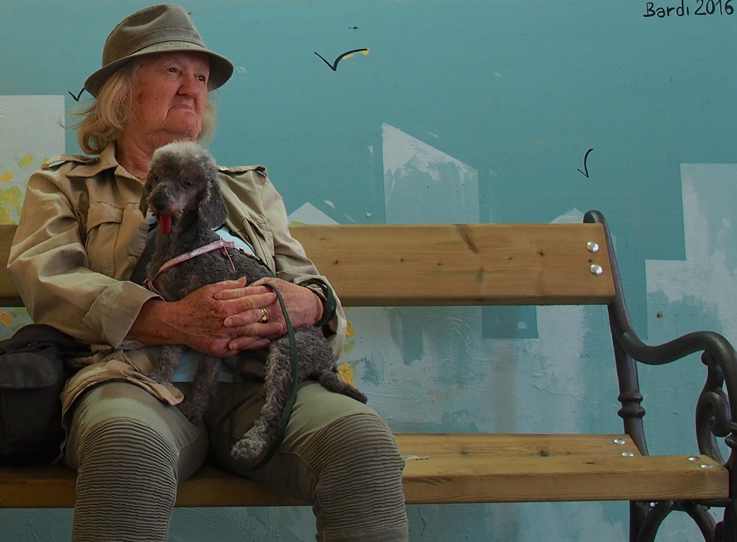 The woman and her poodle