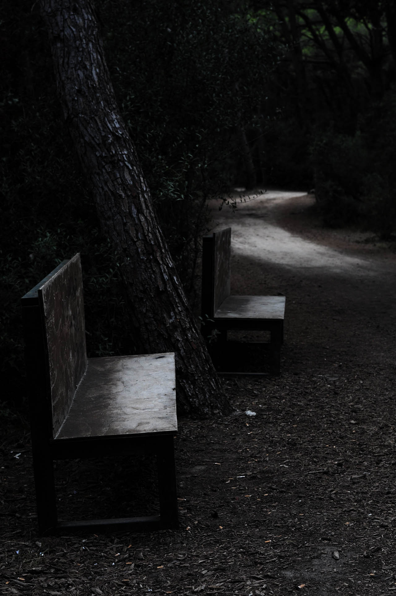 Live together and die alone