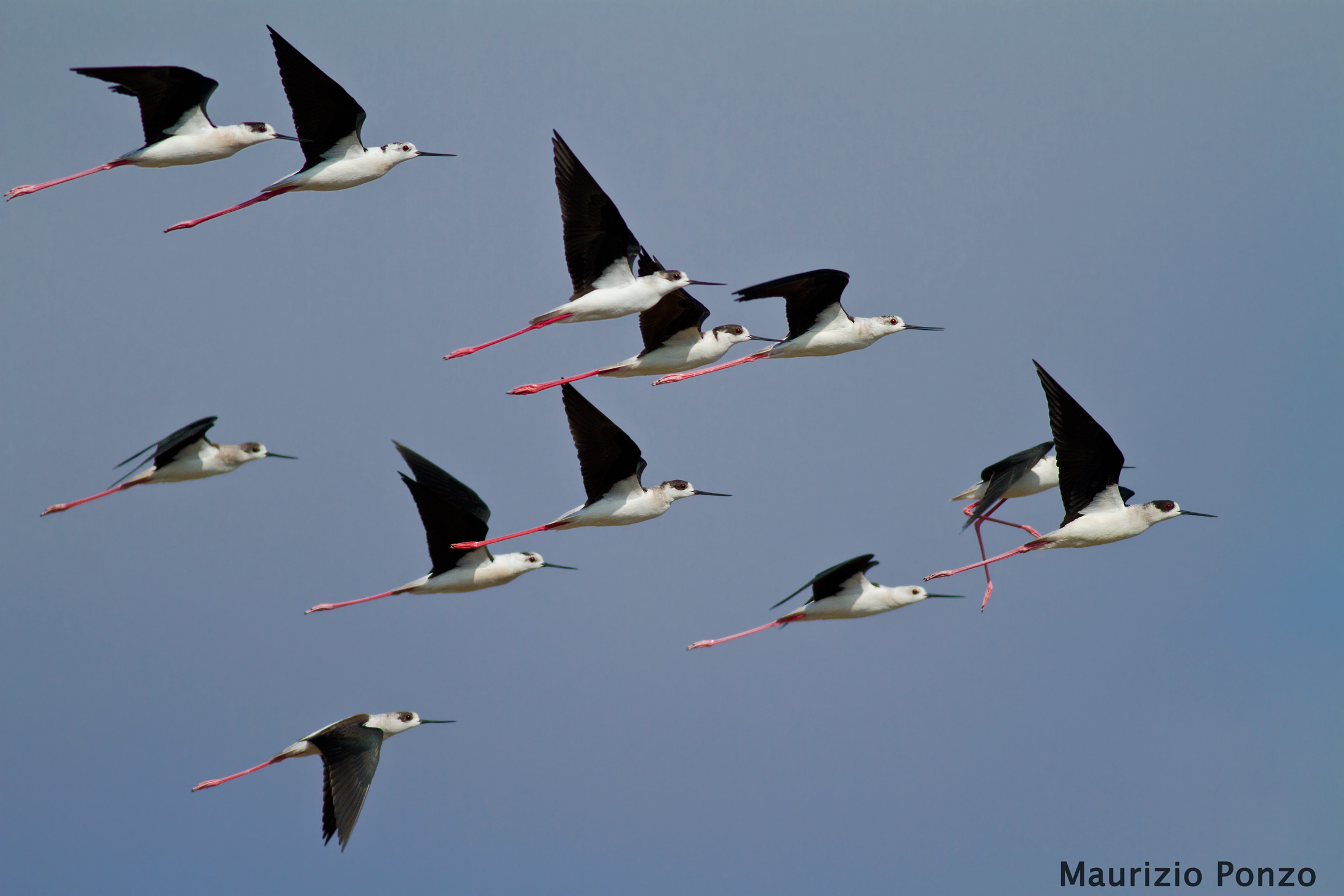 High altitude elegance.