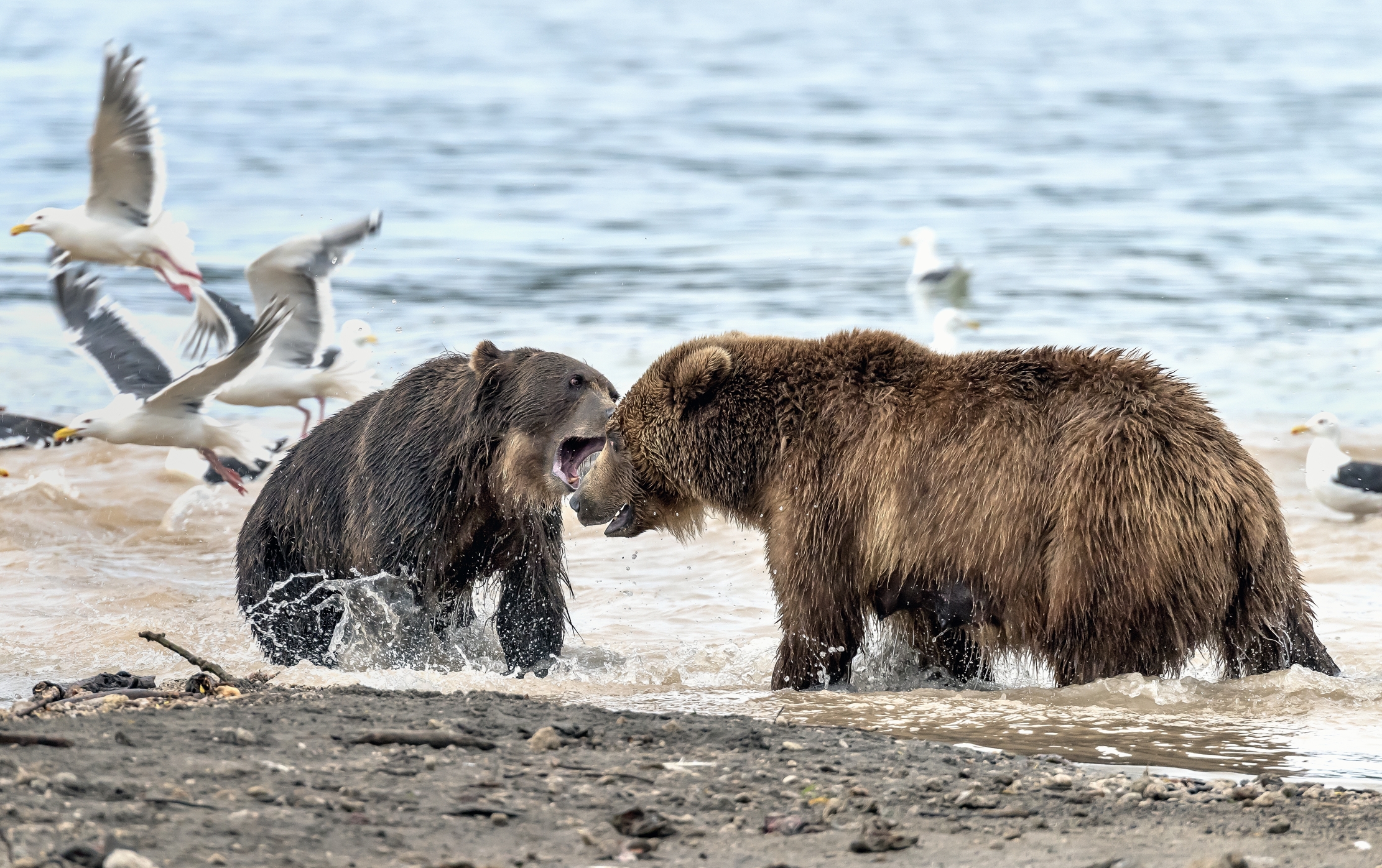 Kamchatka 2016 - Discussioni sul lago