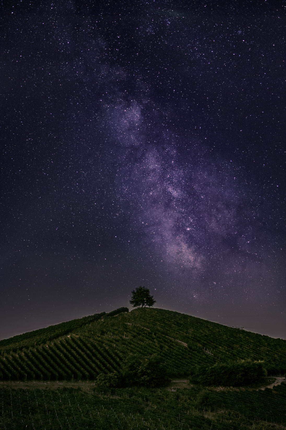 Solitudine sotto le stelle