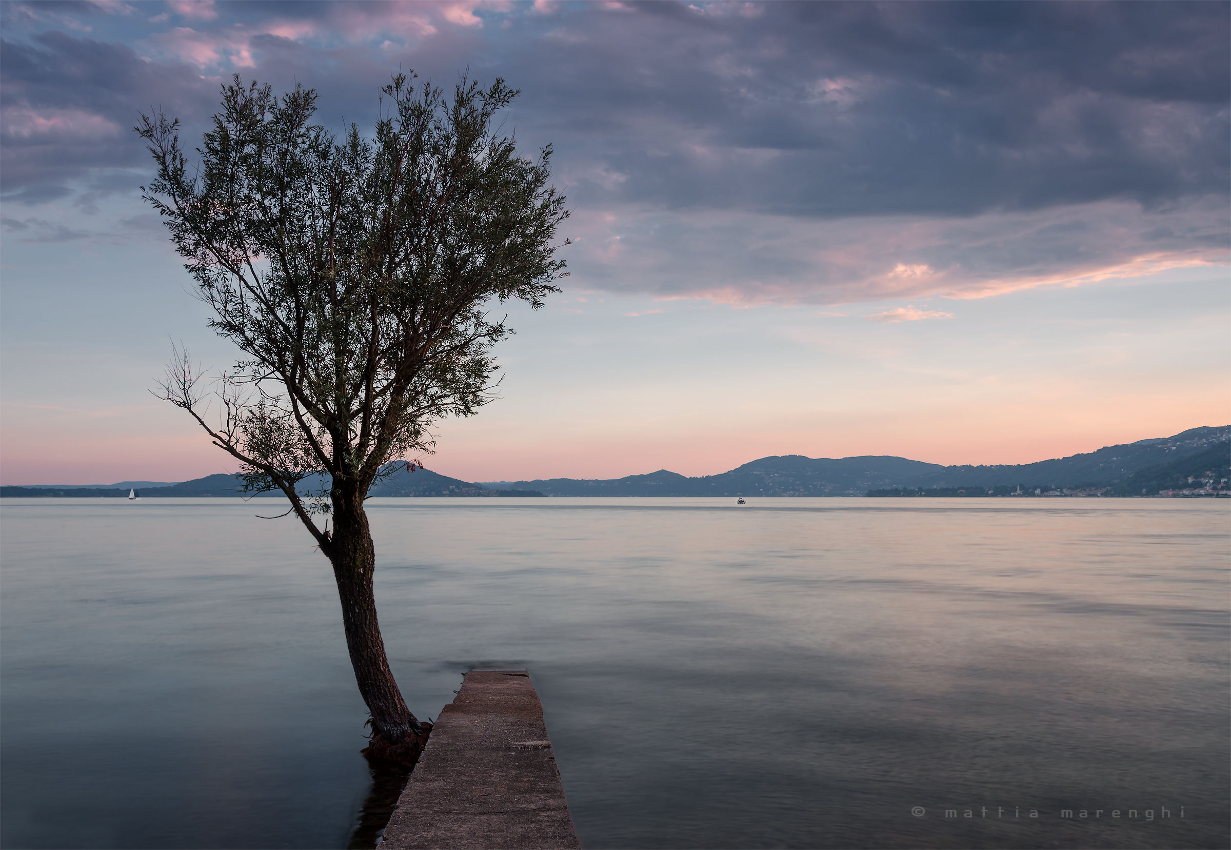 il solito albero che si fa notare!!