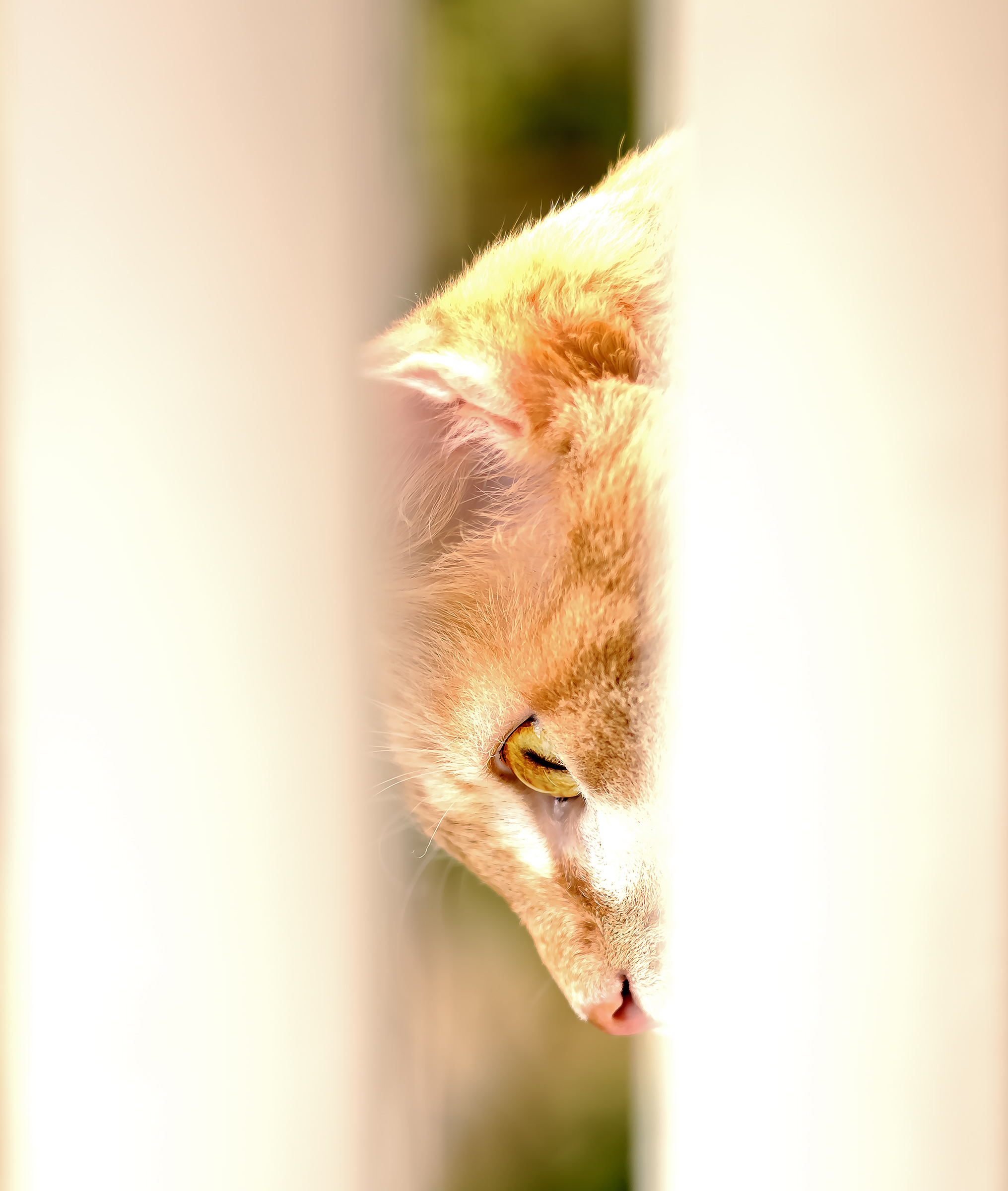 A look between the lines