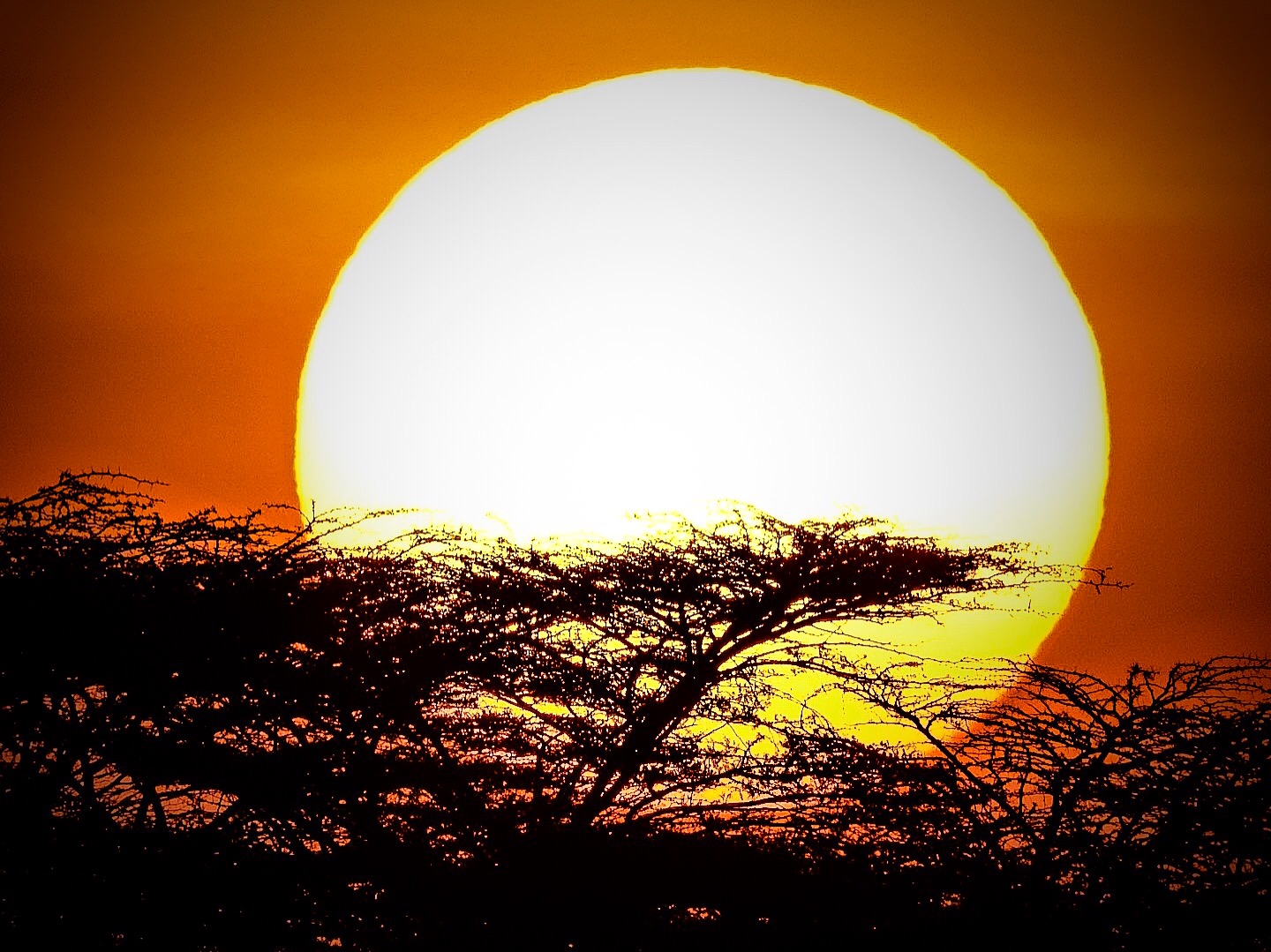 Red Sun (Kenya)