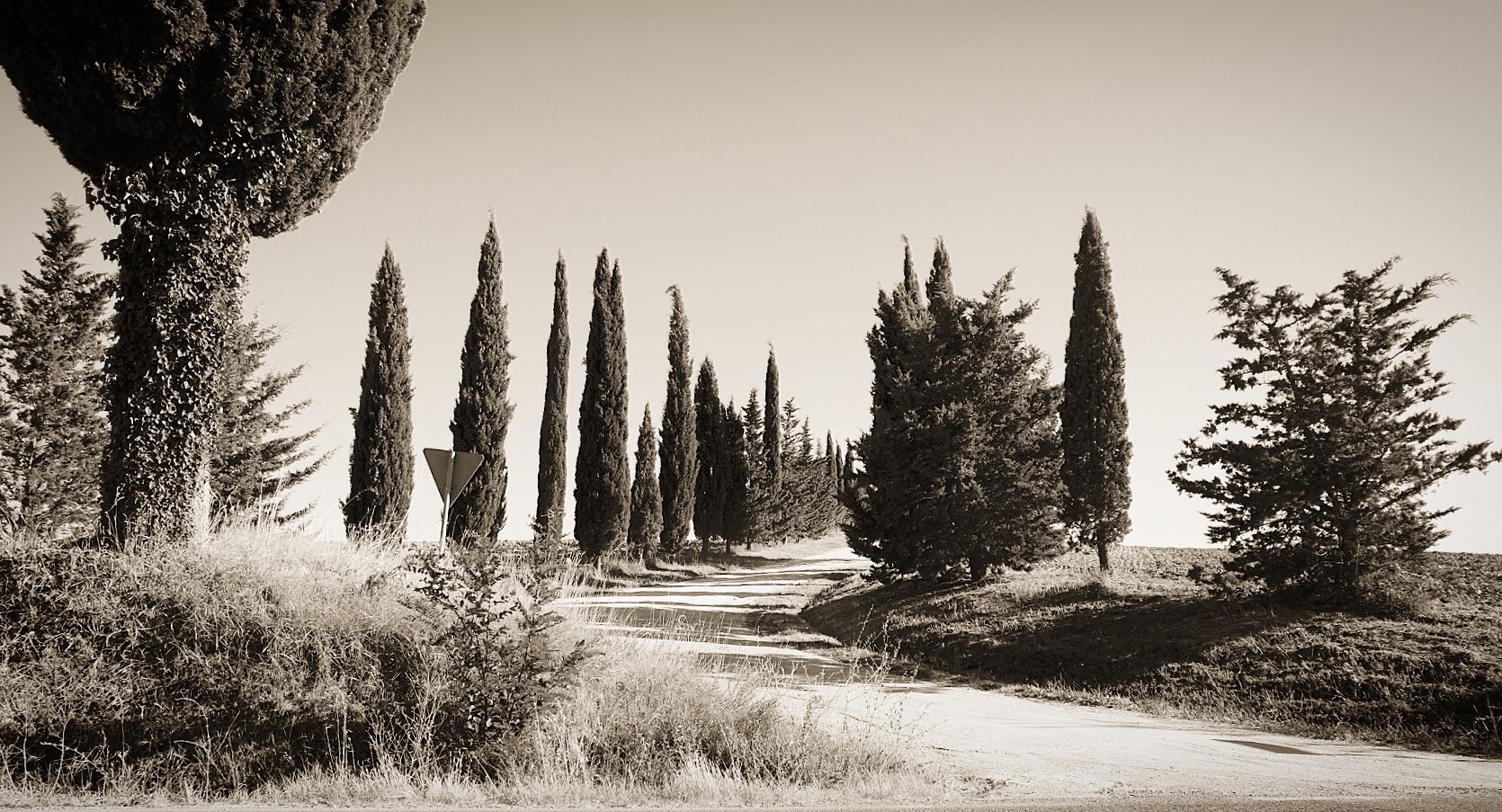 landscape: the white roads