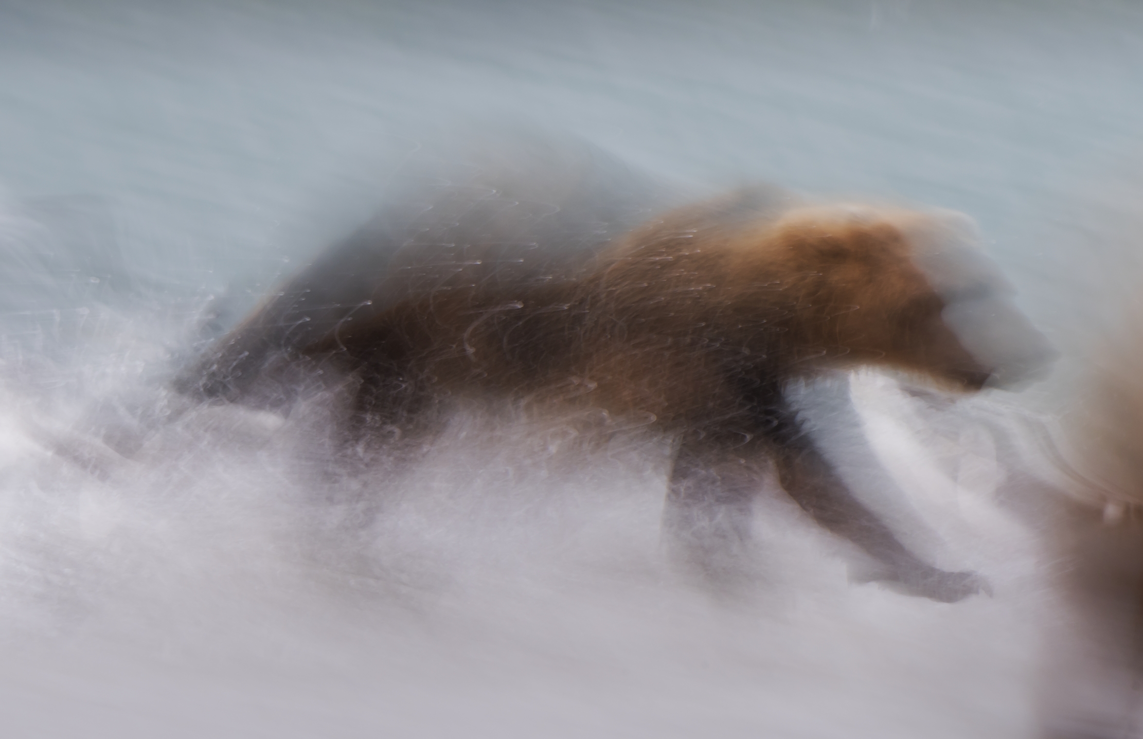 Kamchatka 2016 - Panning