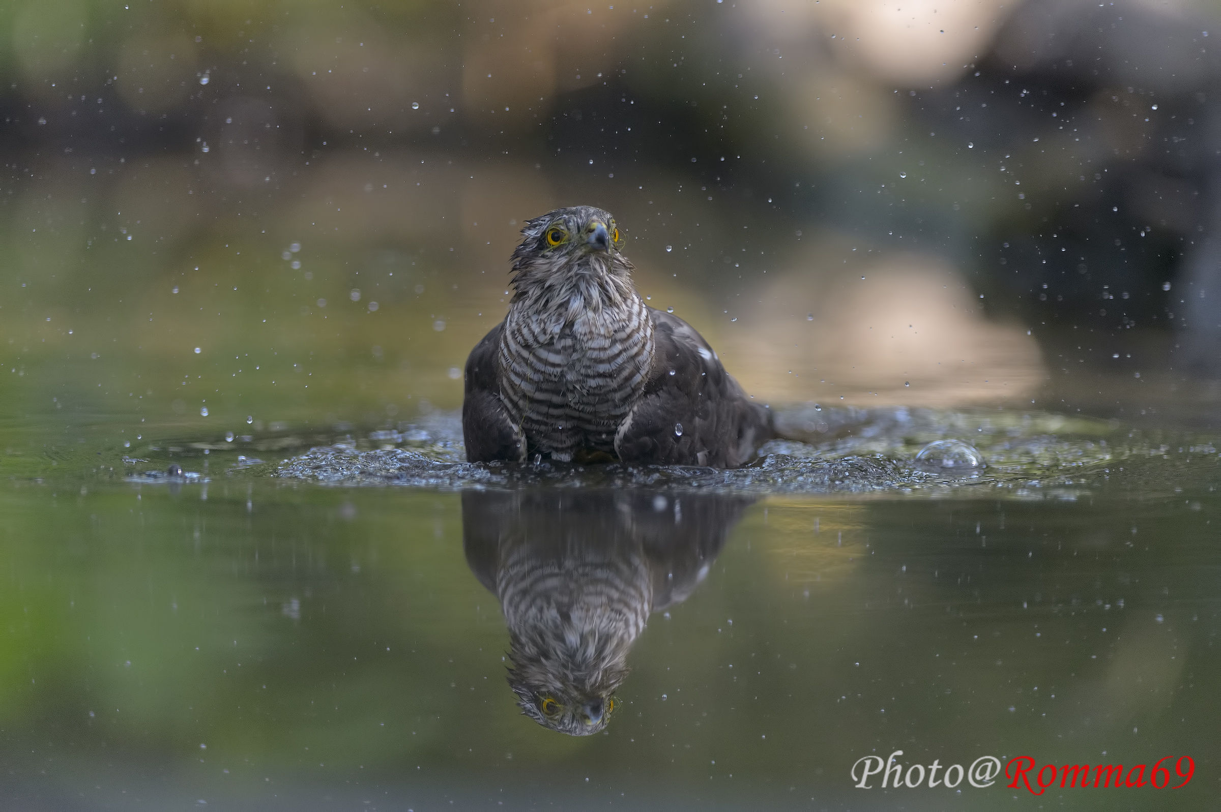 A Bath in the mirror