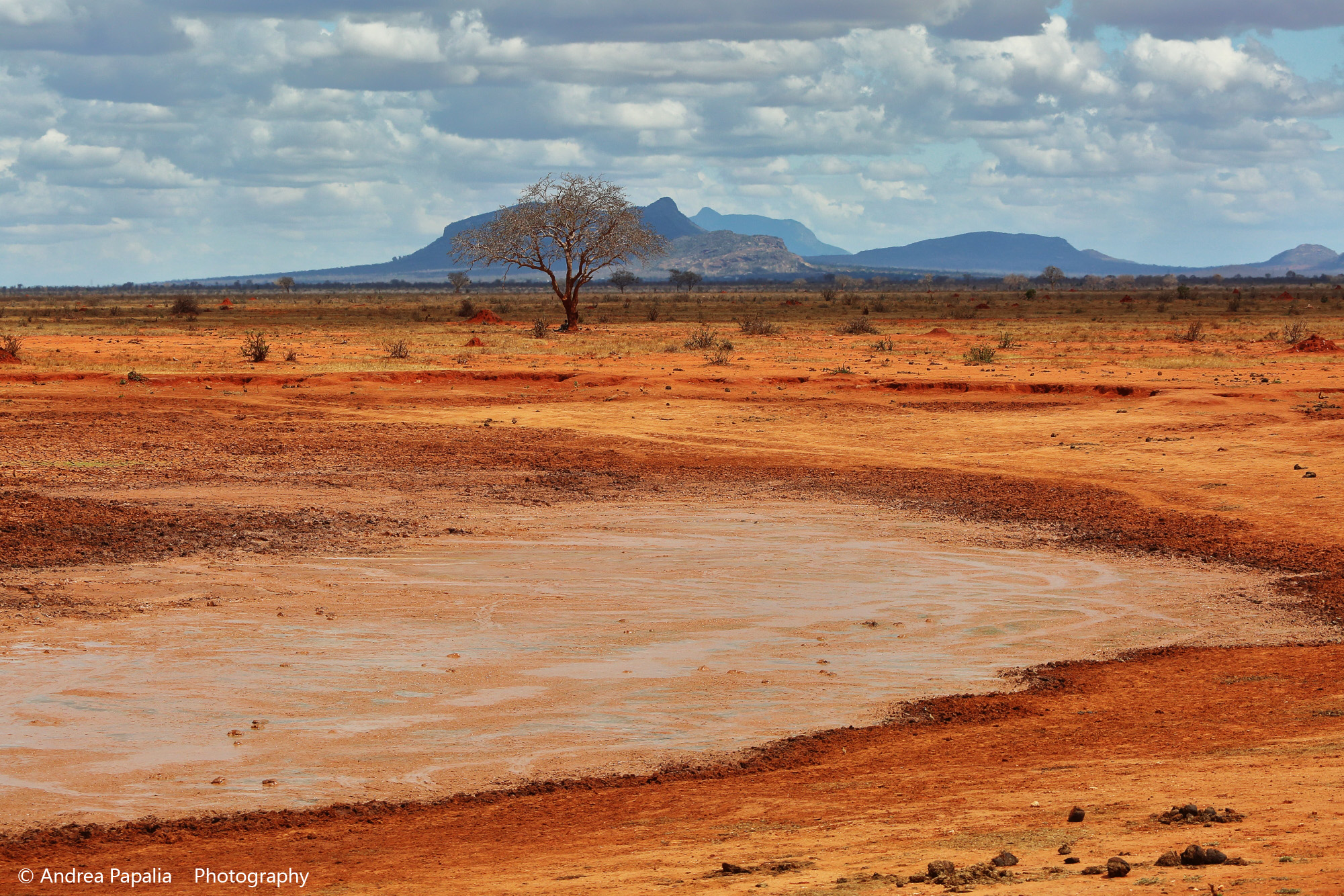 Lakes of dust ... the many shades of the earth