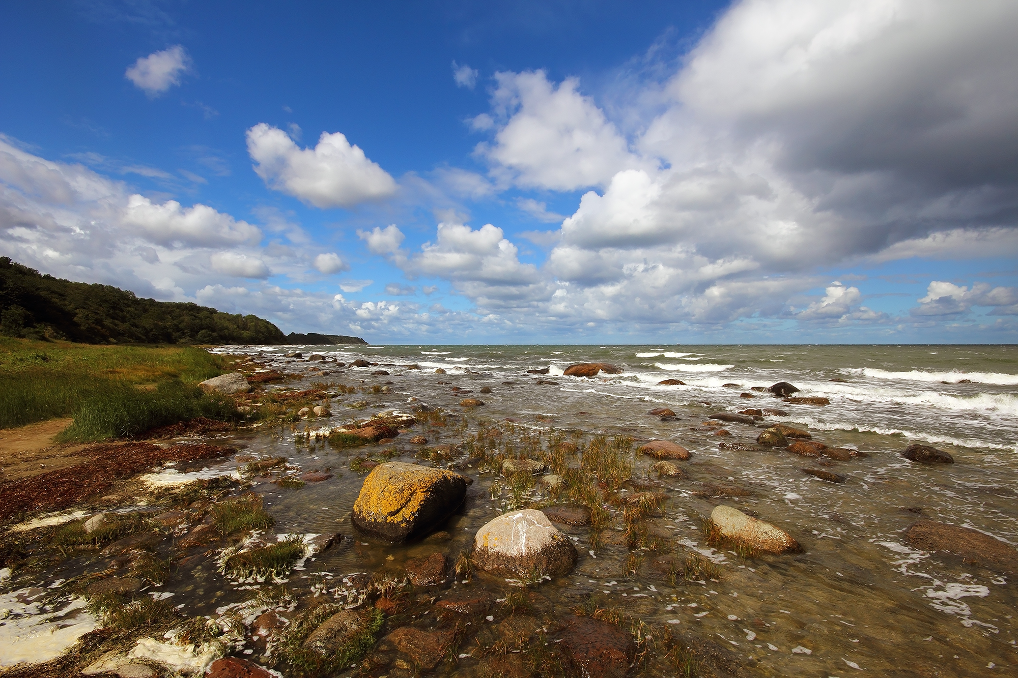 the kap Arkona wilderness beach