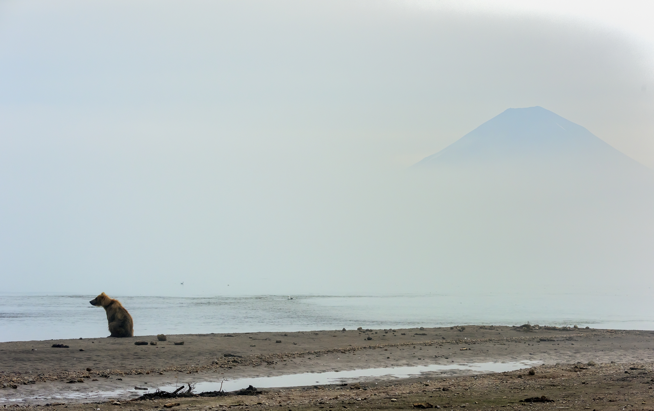 Kamchatka 2016 - Nebbia sul lago e sul vulcano