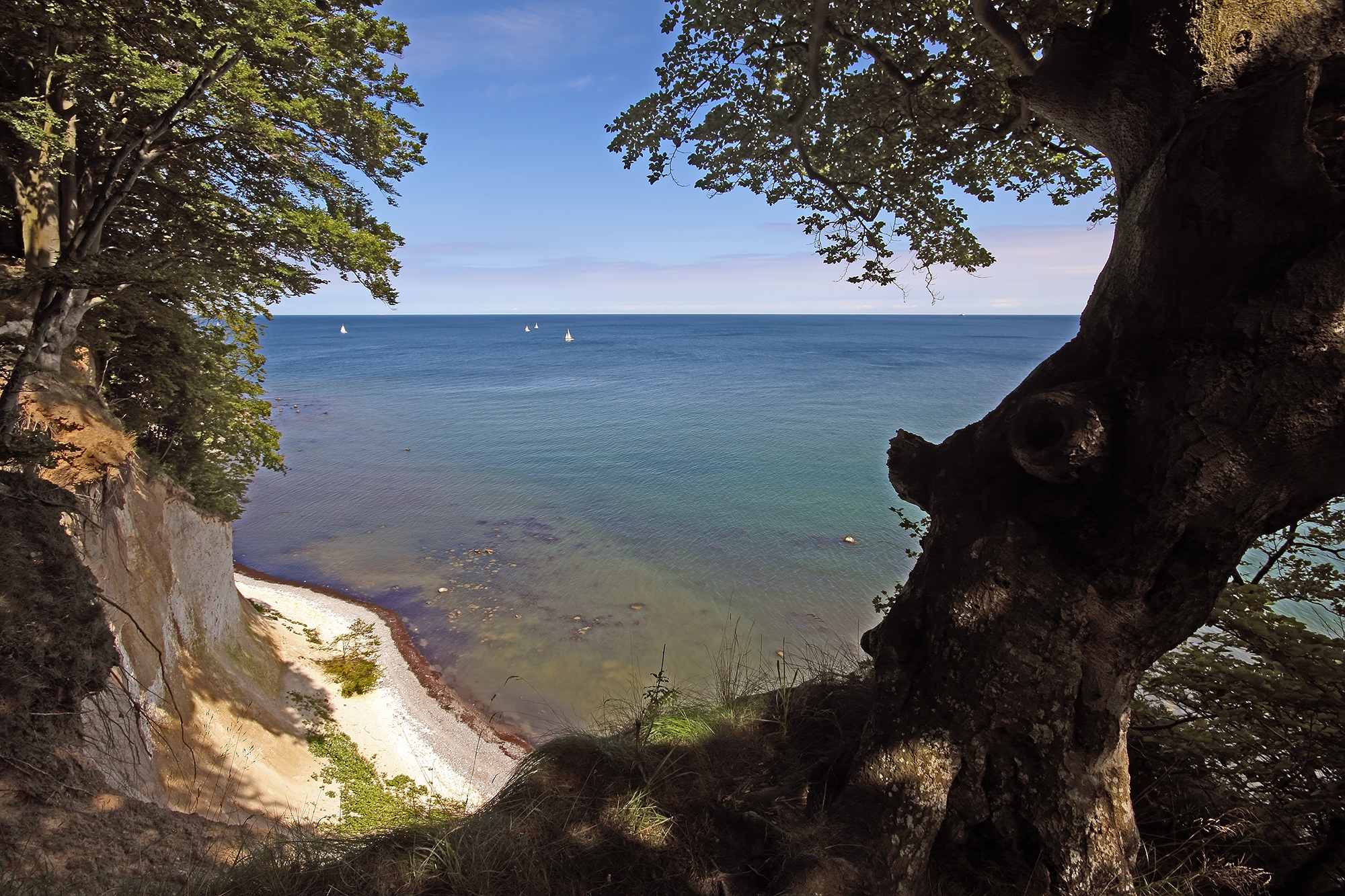 Jasmund Natural parc-Baltic sea view