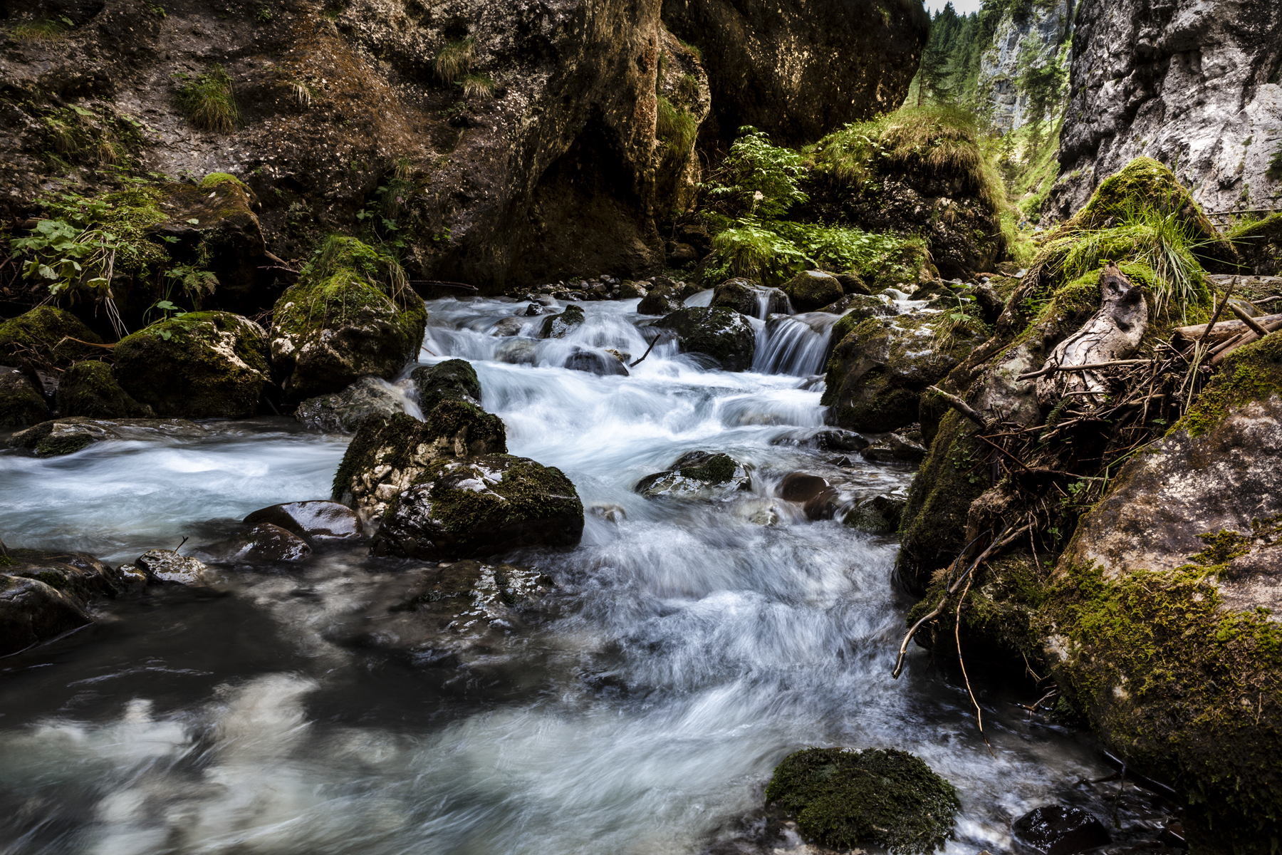 Pettorina stream Serrai of Sottoguda