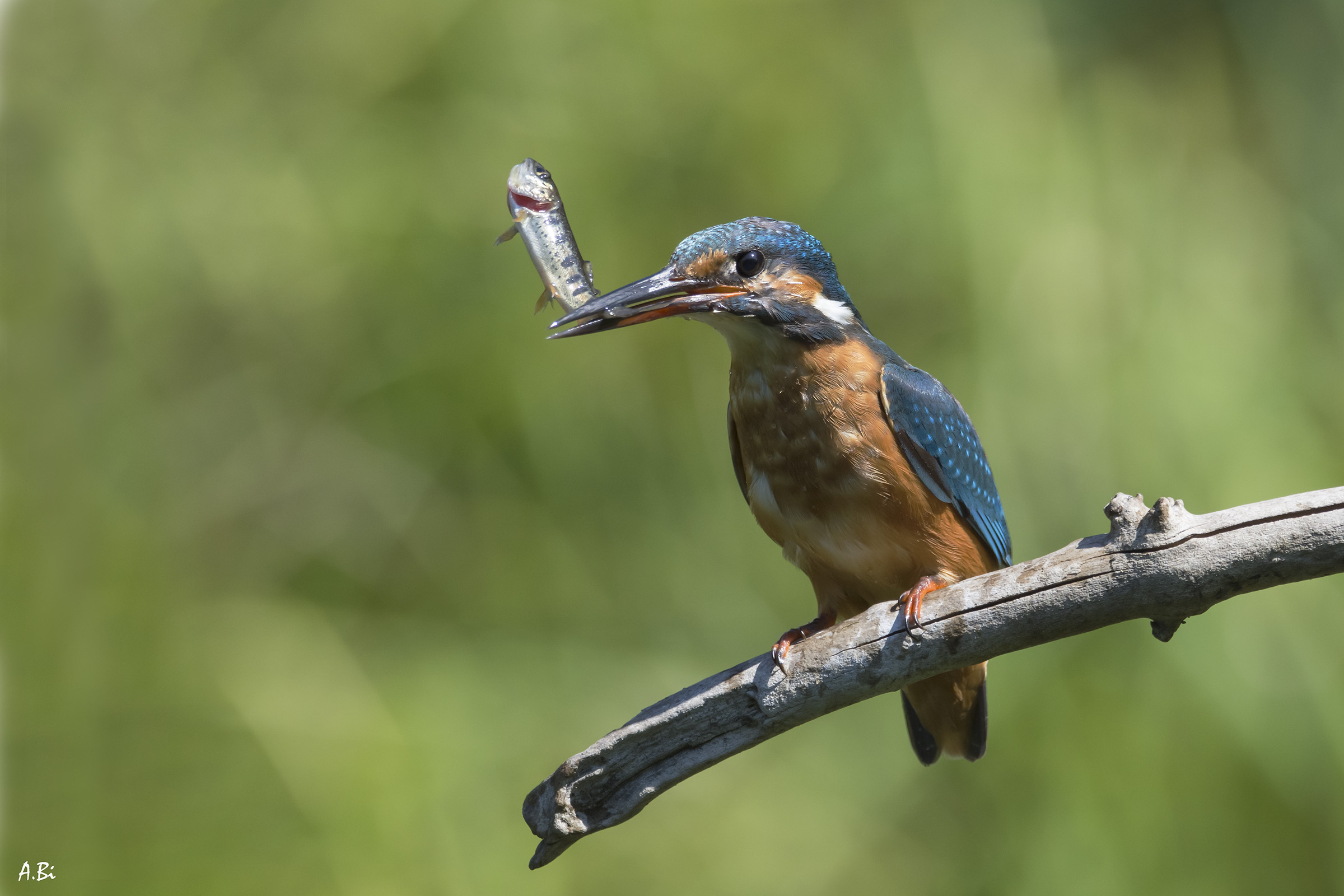 lucky dip for Martina