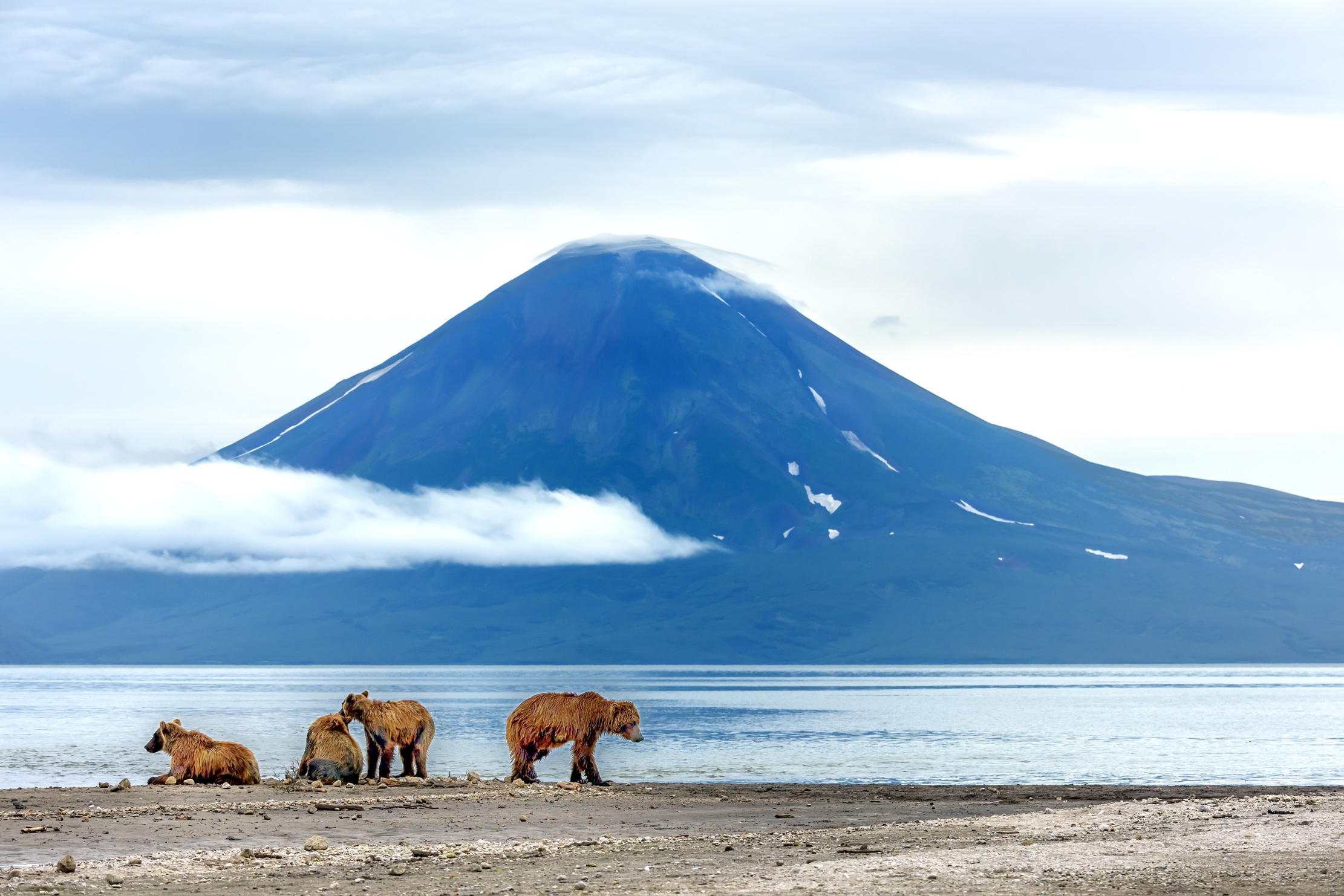 Kamchatka 2016 - Sotto il vulcano