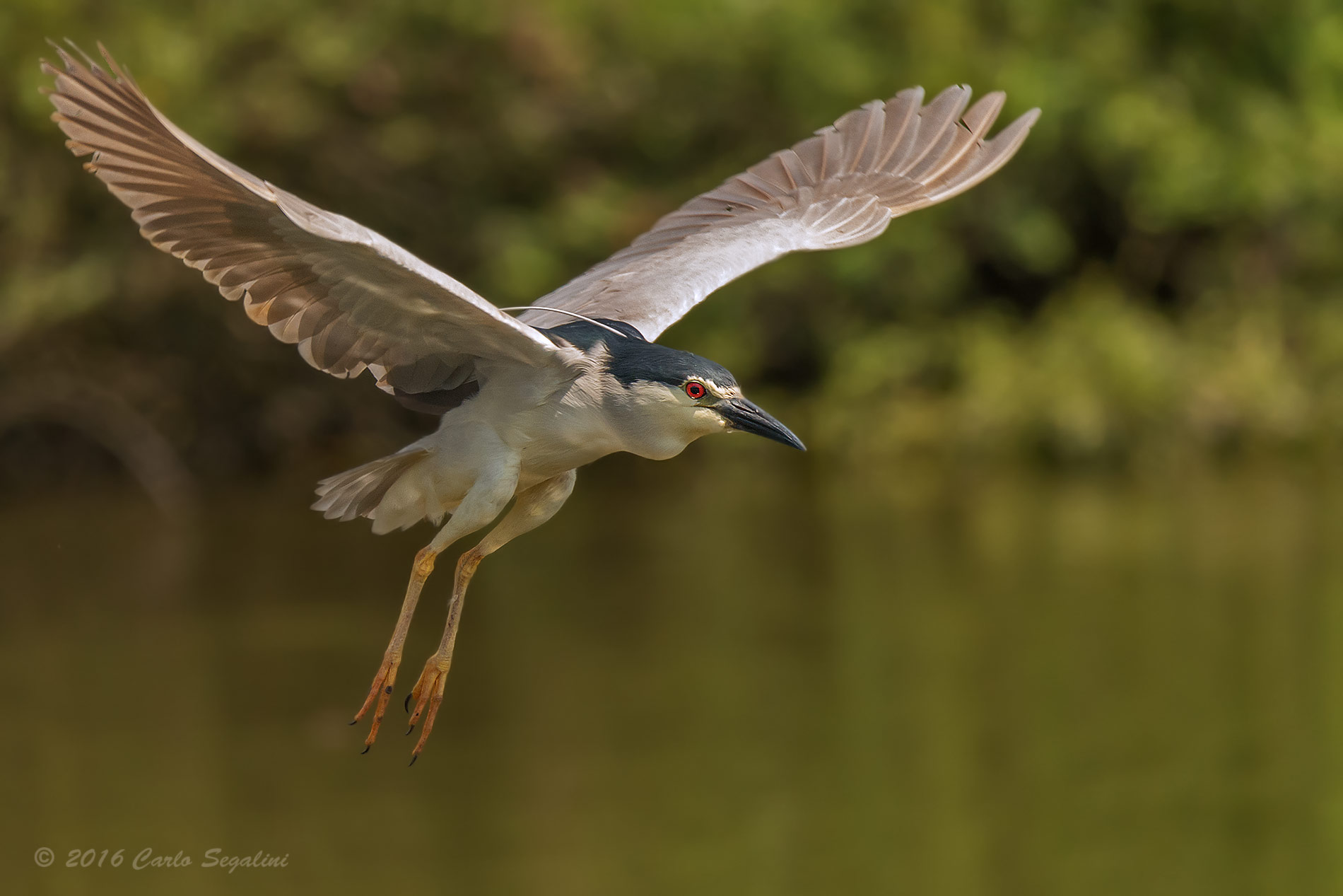 Pronta all'atterraggio