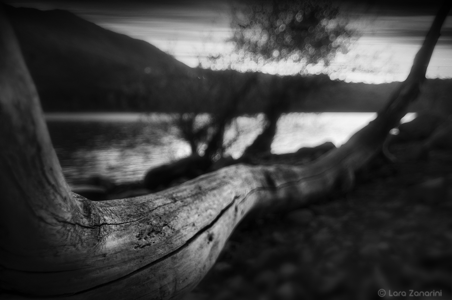 "Now she walks...through her sunken dream"