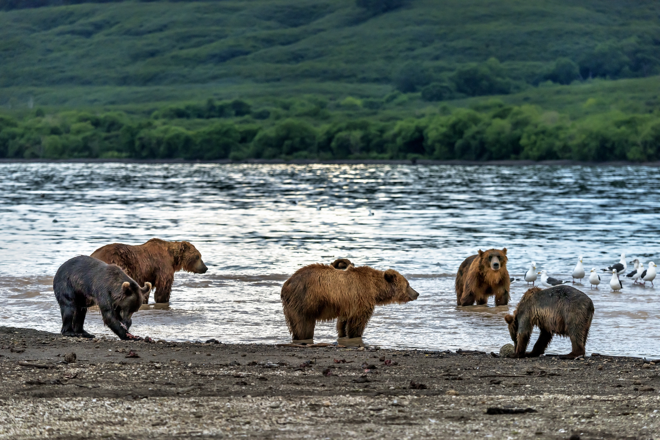 Kamchatka 2016 - Sulle rive del lago