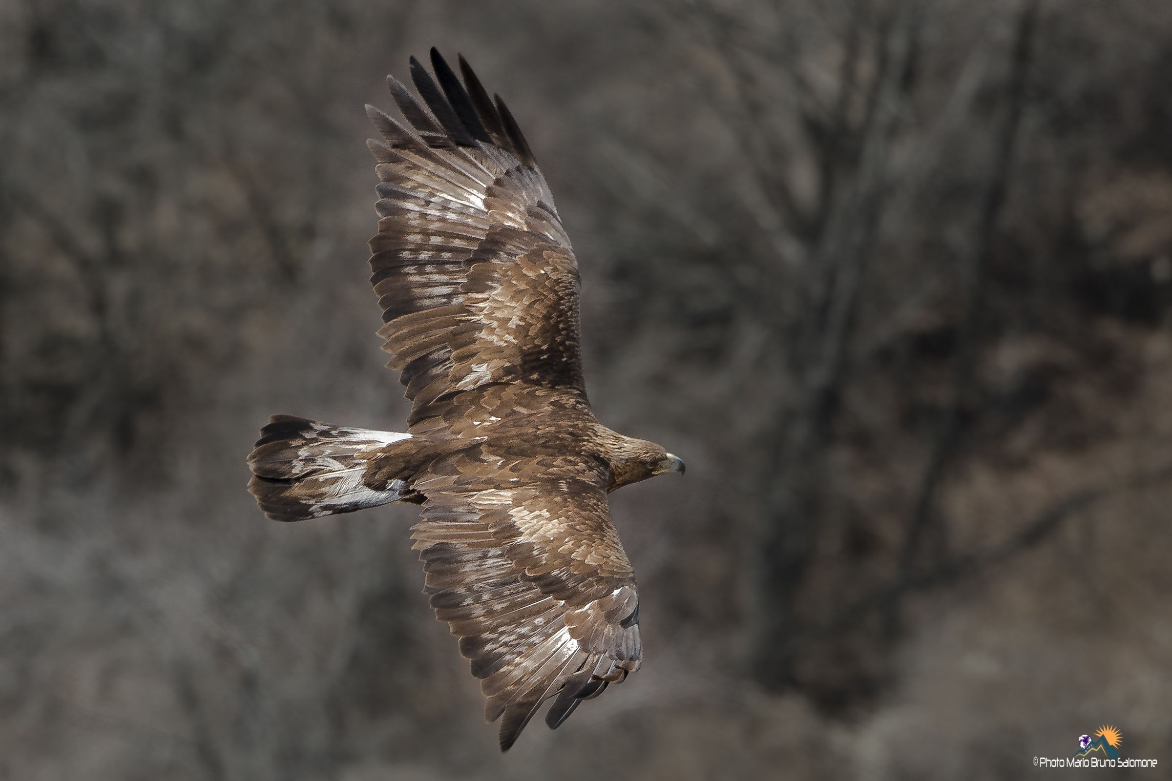 A tu per tu con la regina.