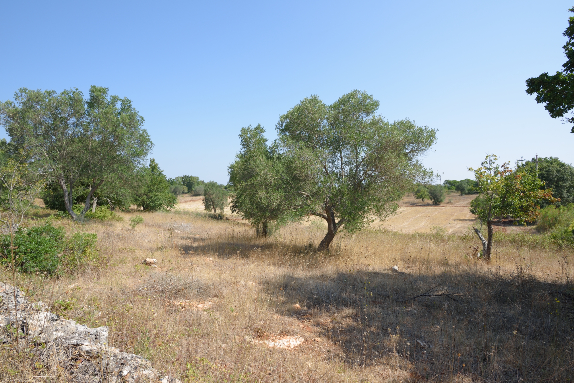 We people of today ...