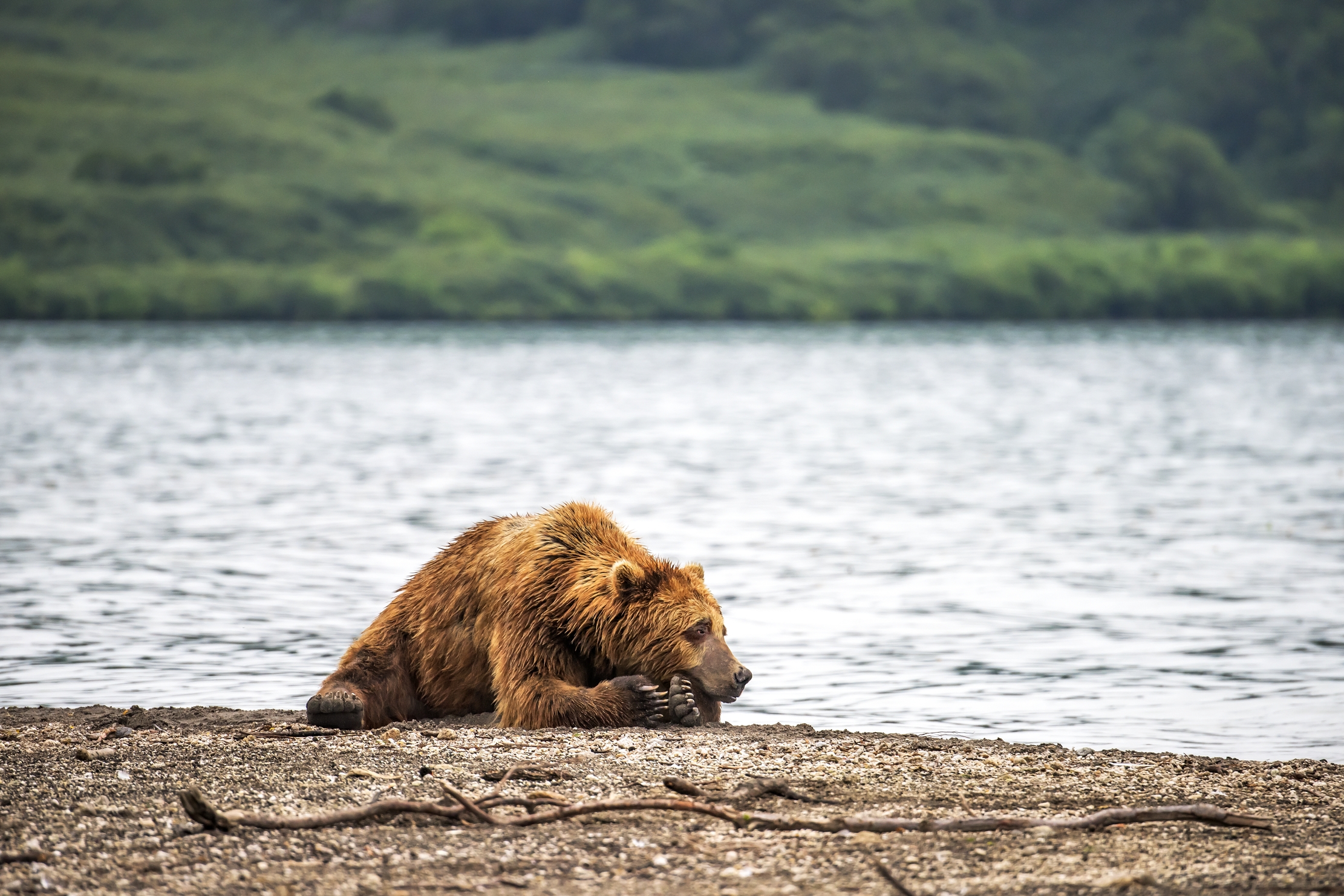 Kamchatka 2016 - Sulle rive del lago