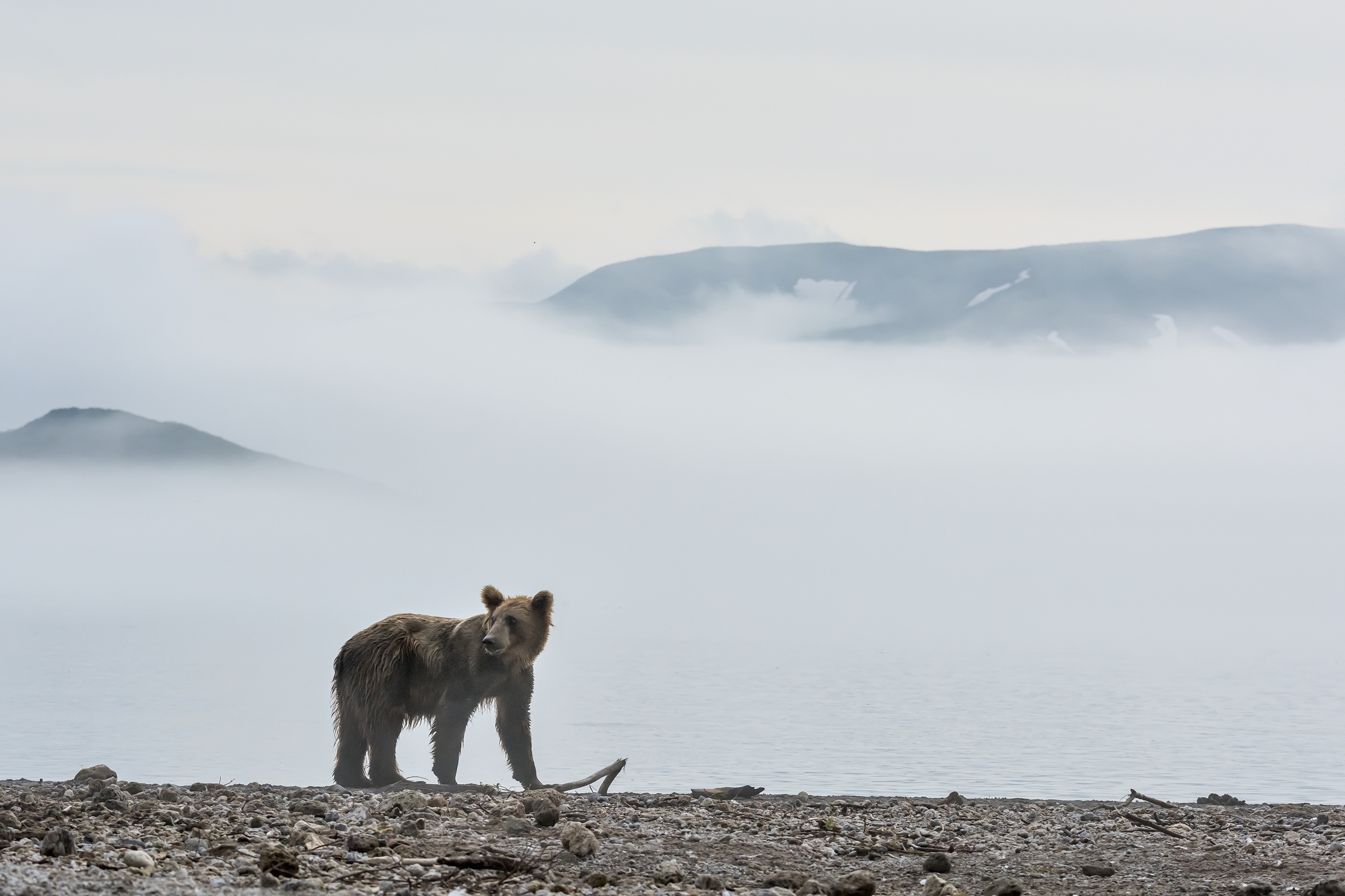 Kamchatka 2016 - Nebbia sul Kurile Lake