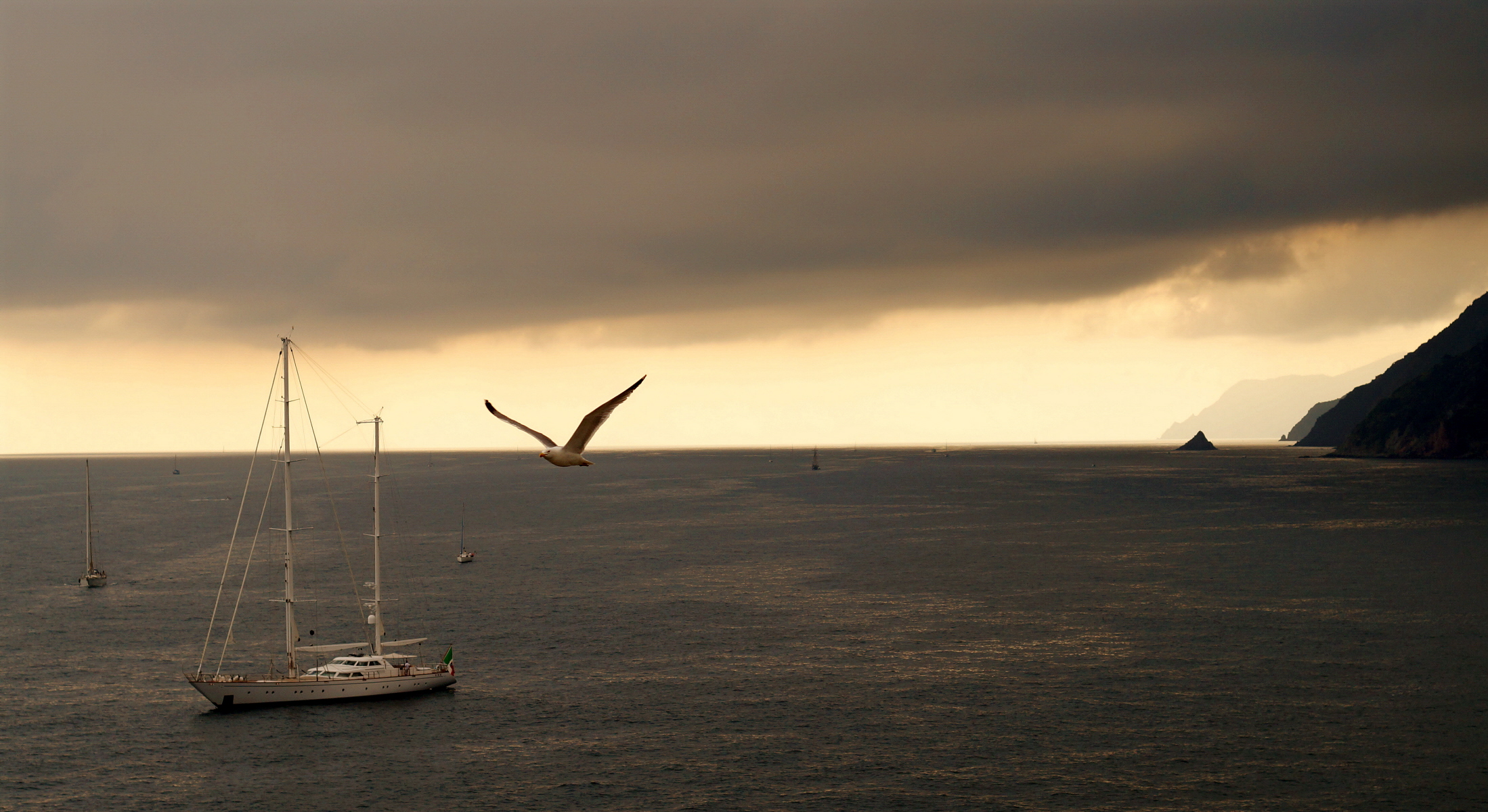 Giornata pallida,meglio rientrare!