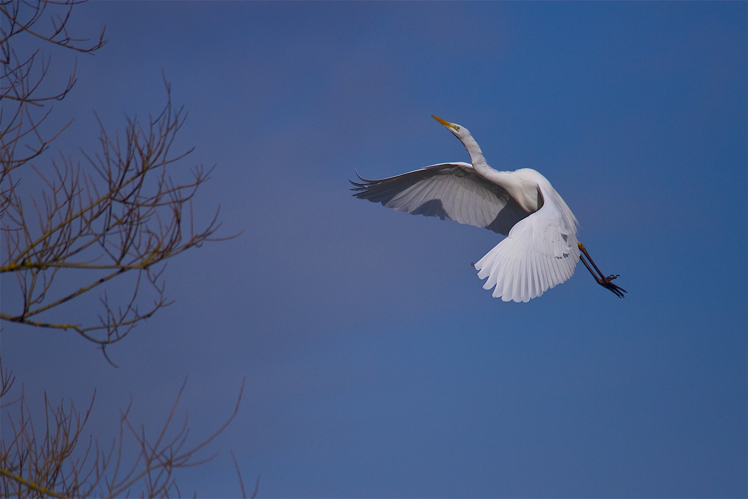 even have time to ...