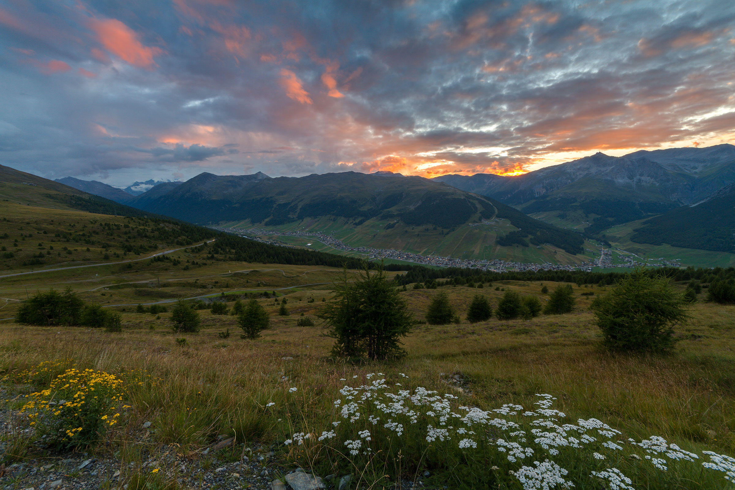 Un balcone fiorito per Livigno