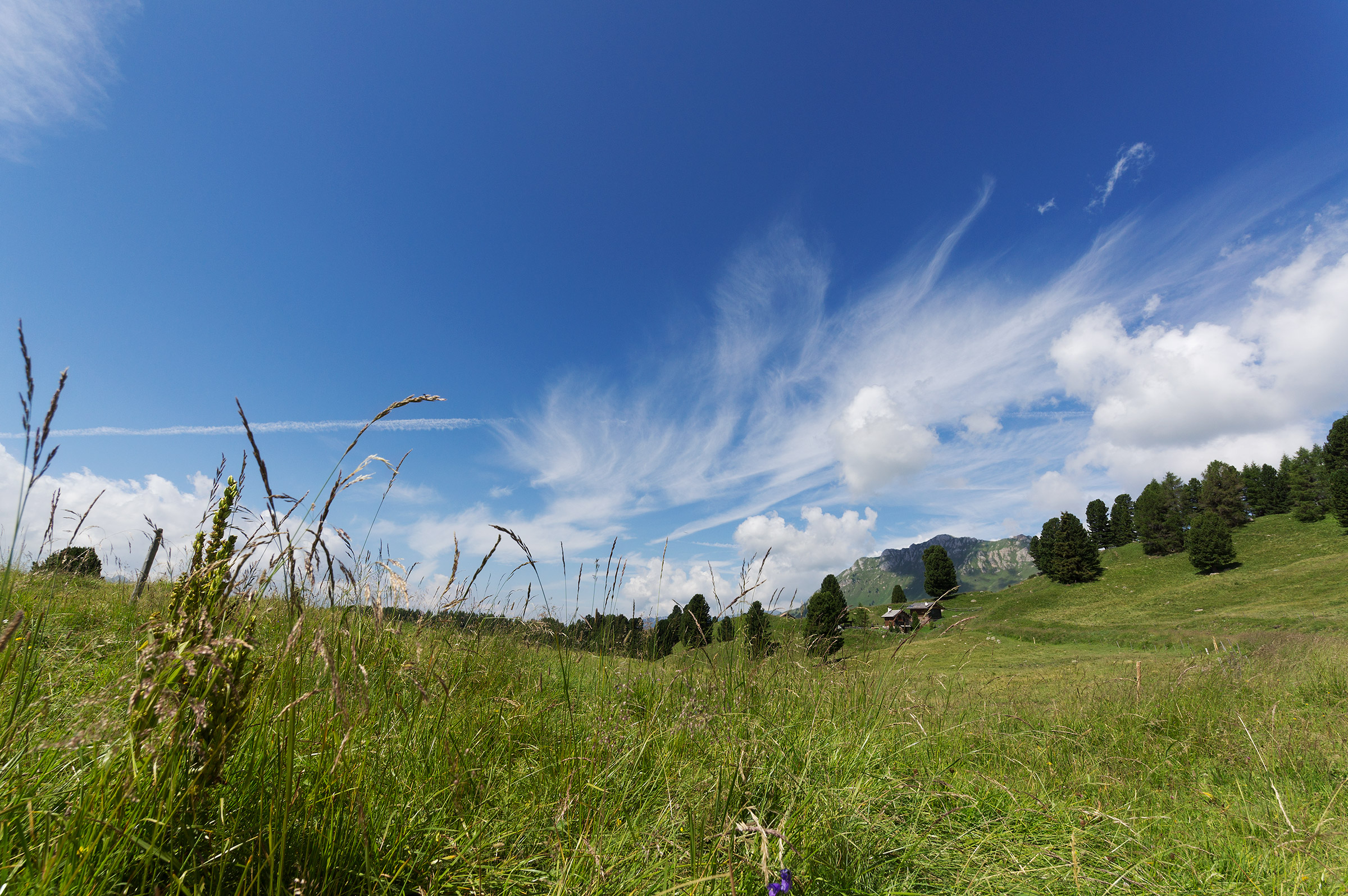 Brushstrokes in the sky