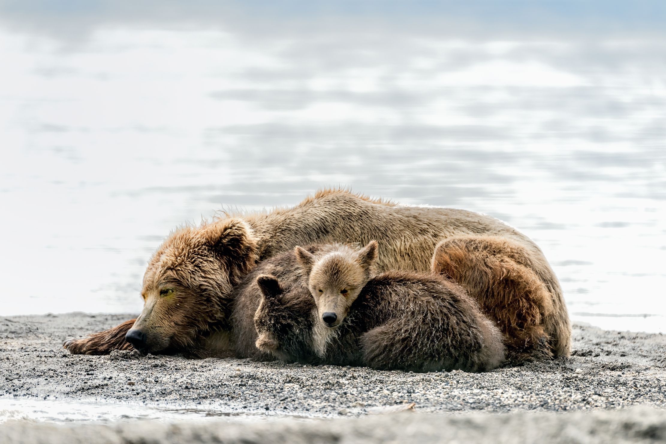 Kamchatka 2016 - Riposo sul lago