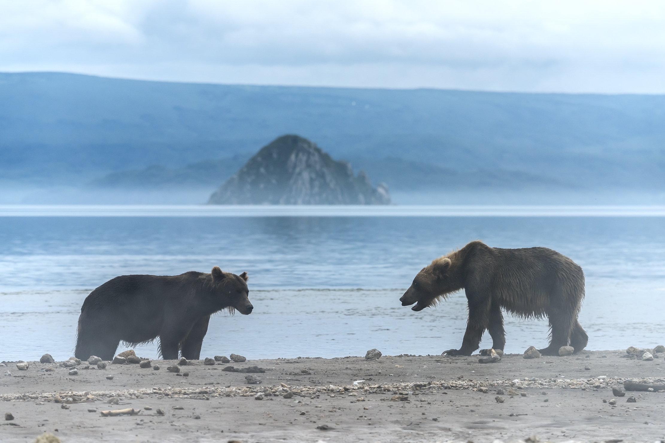 Kamchatka 2016 - Incontri tra la nebbia del lago