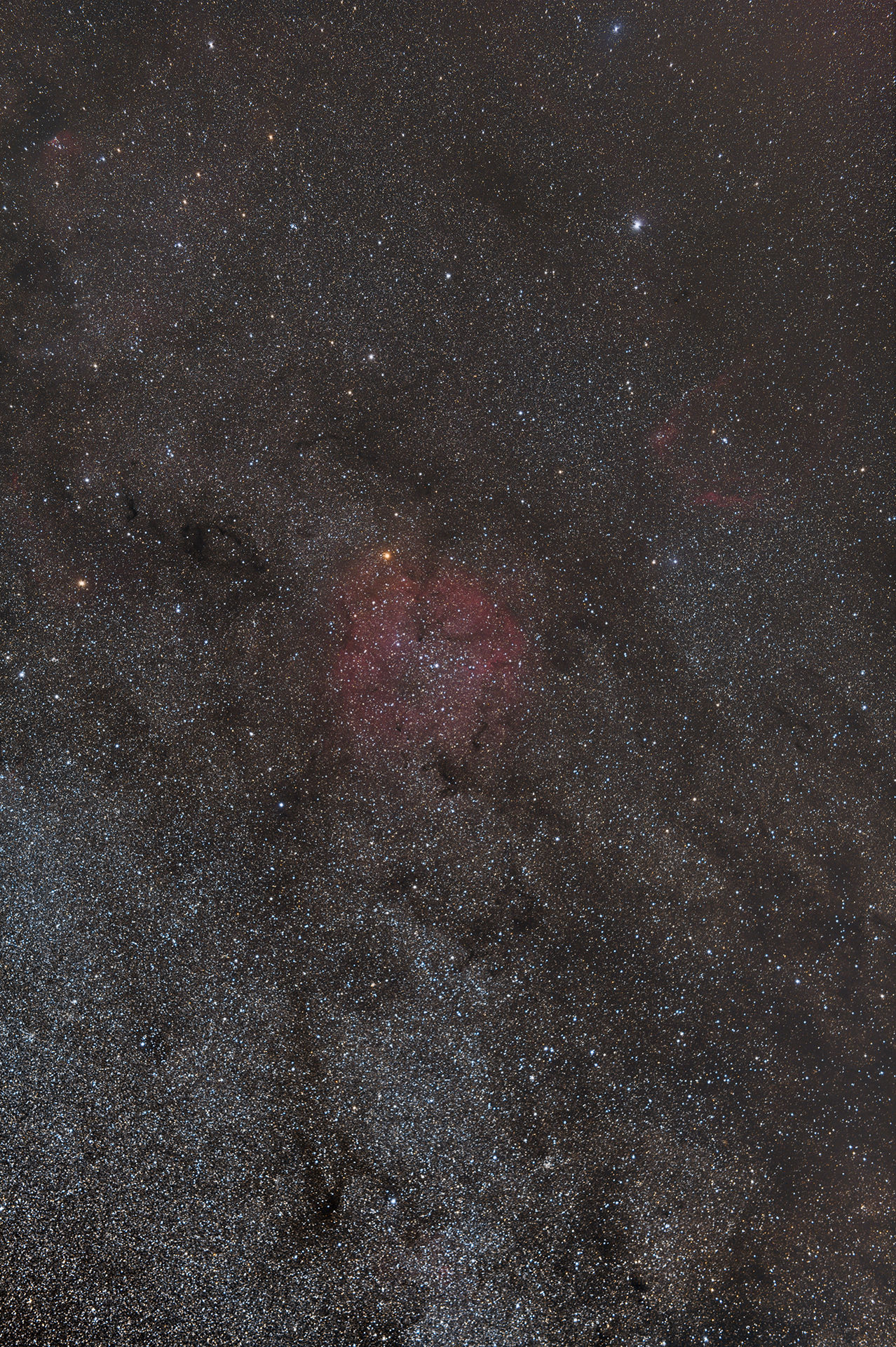 Ic1396
