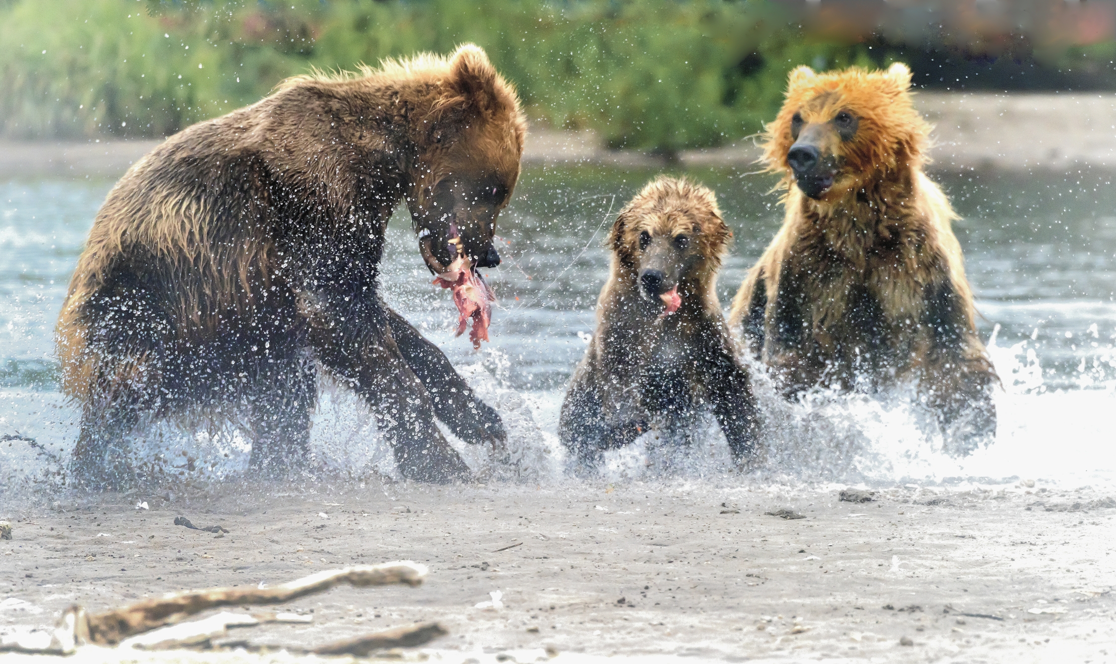 Kamchatka 2016 - Tra l'acqua e la foschia