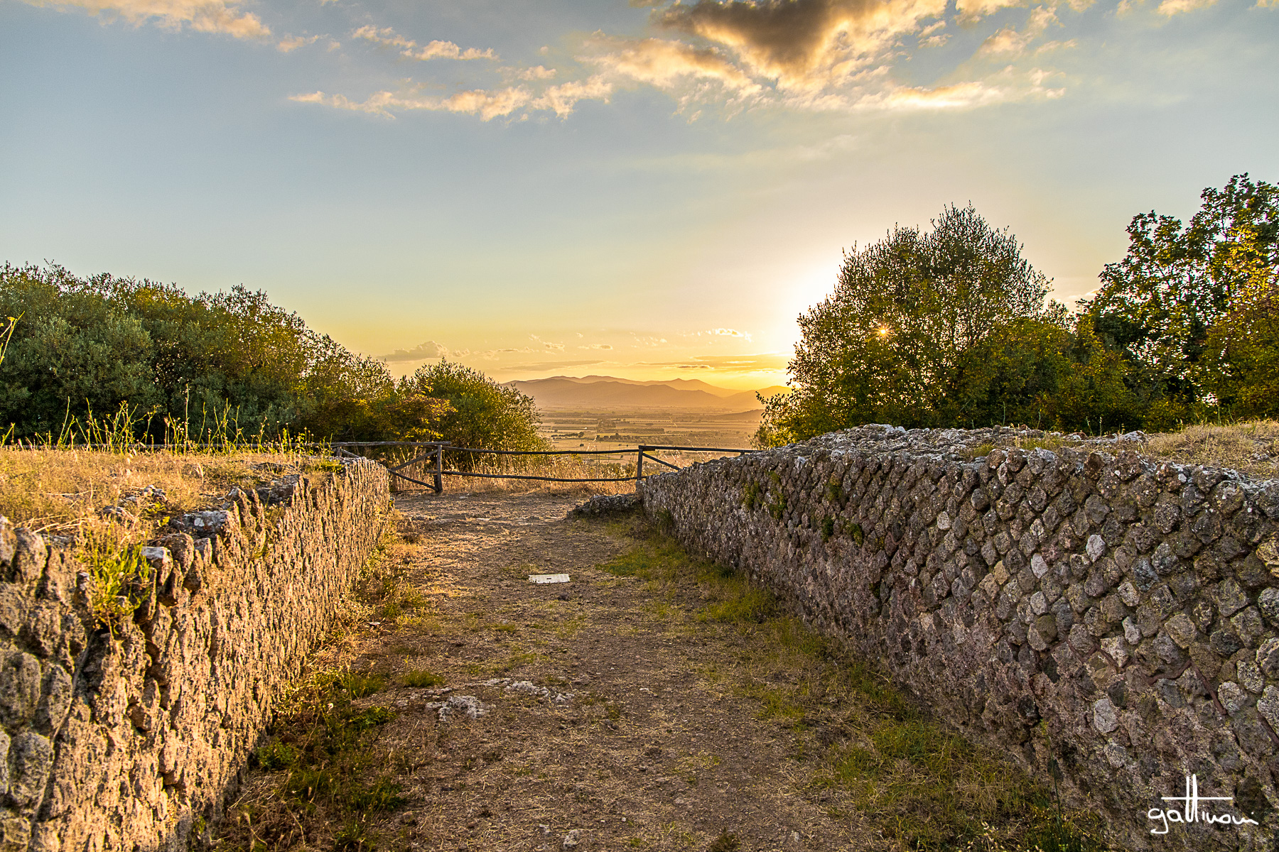 sunset amphitheater - roselle